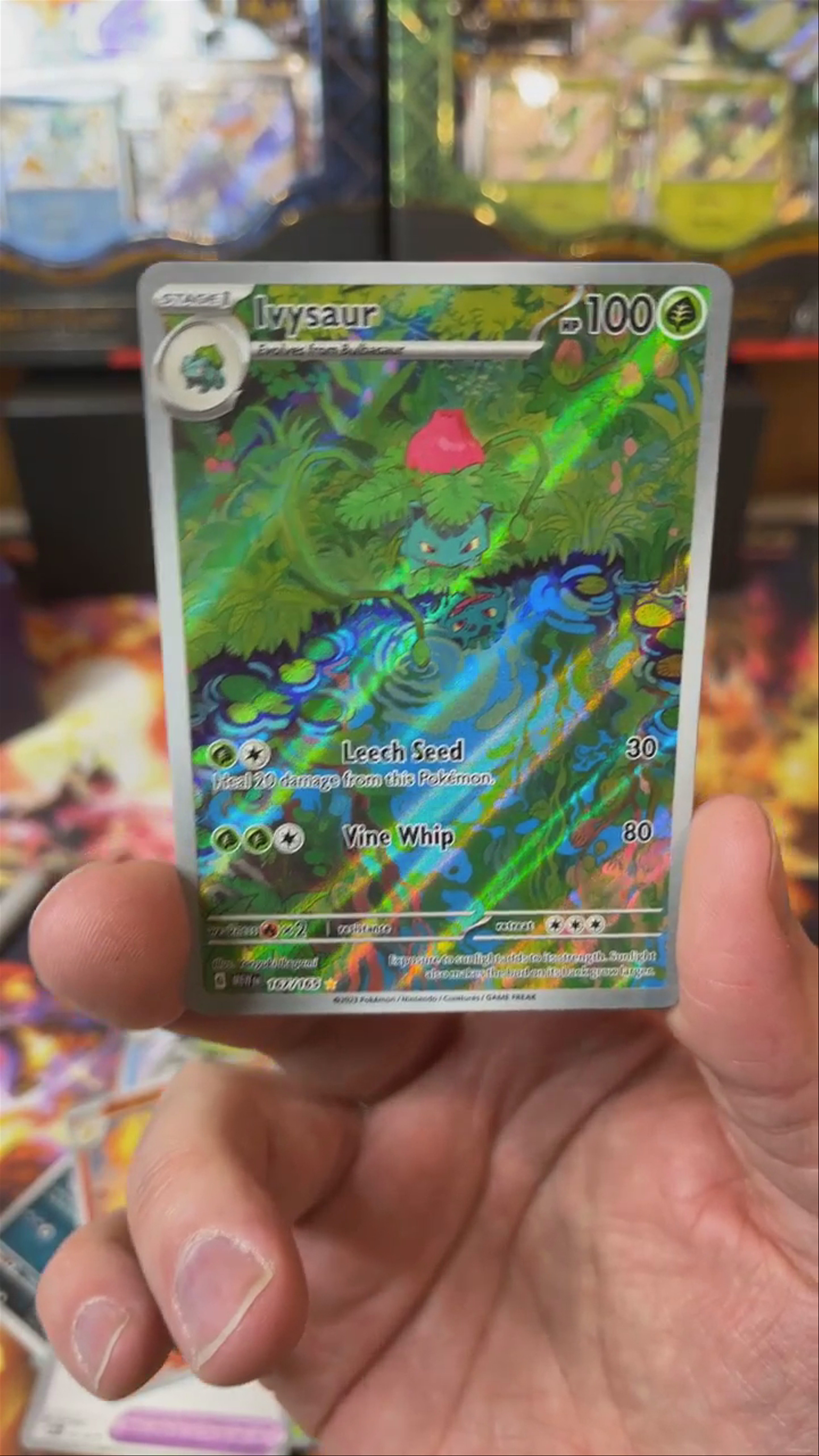 Pokemon Day 2024 Hit #1! 