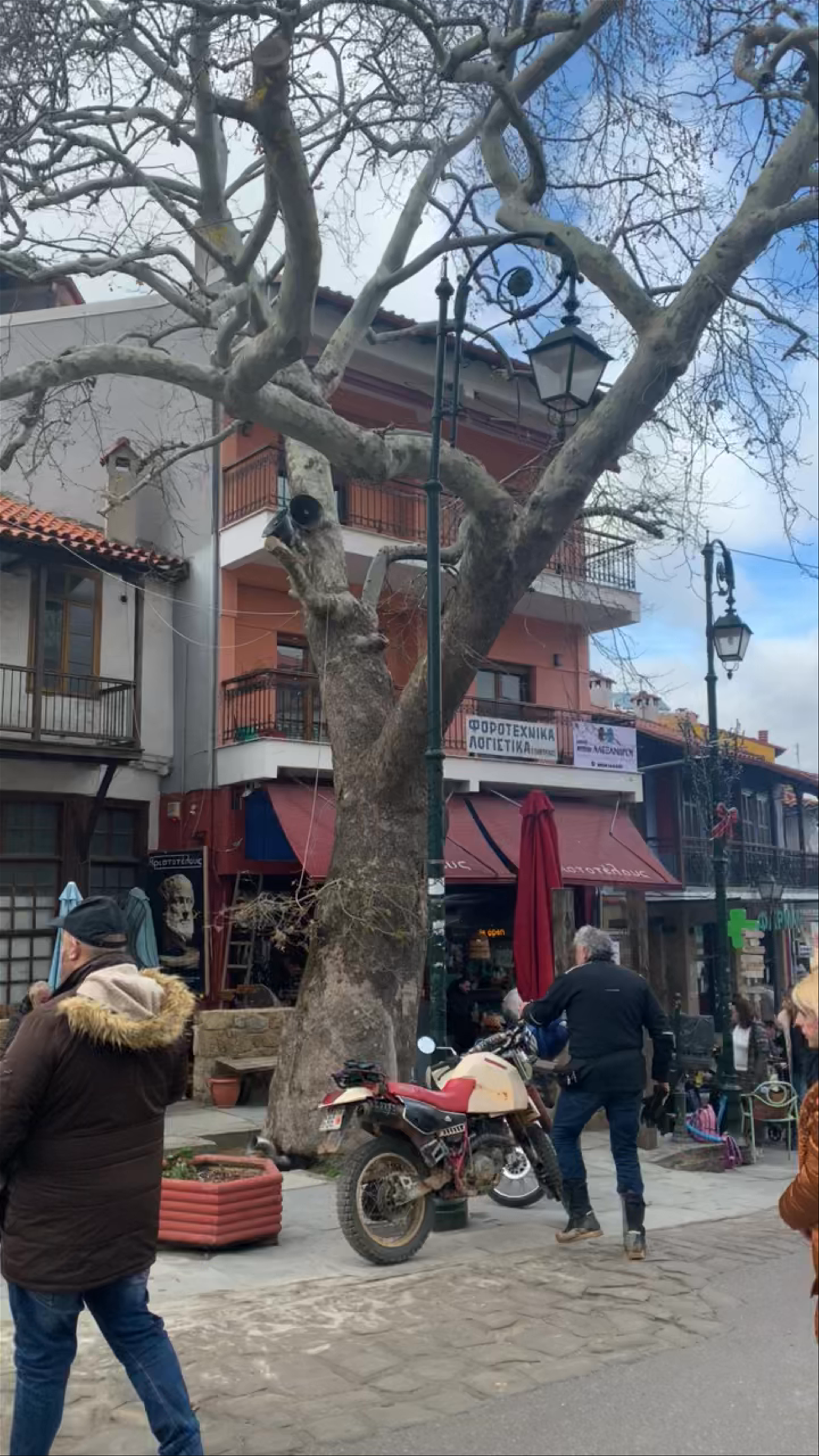 Κεντρική Πλατεία Αρναίας