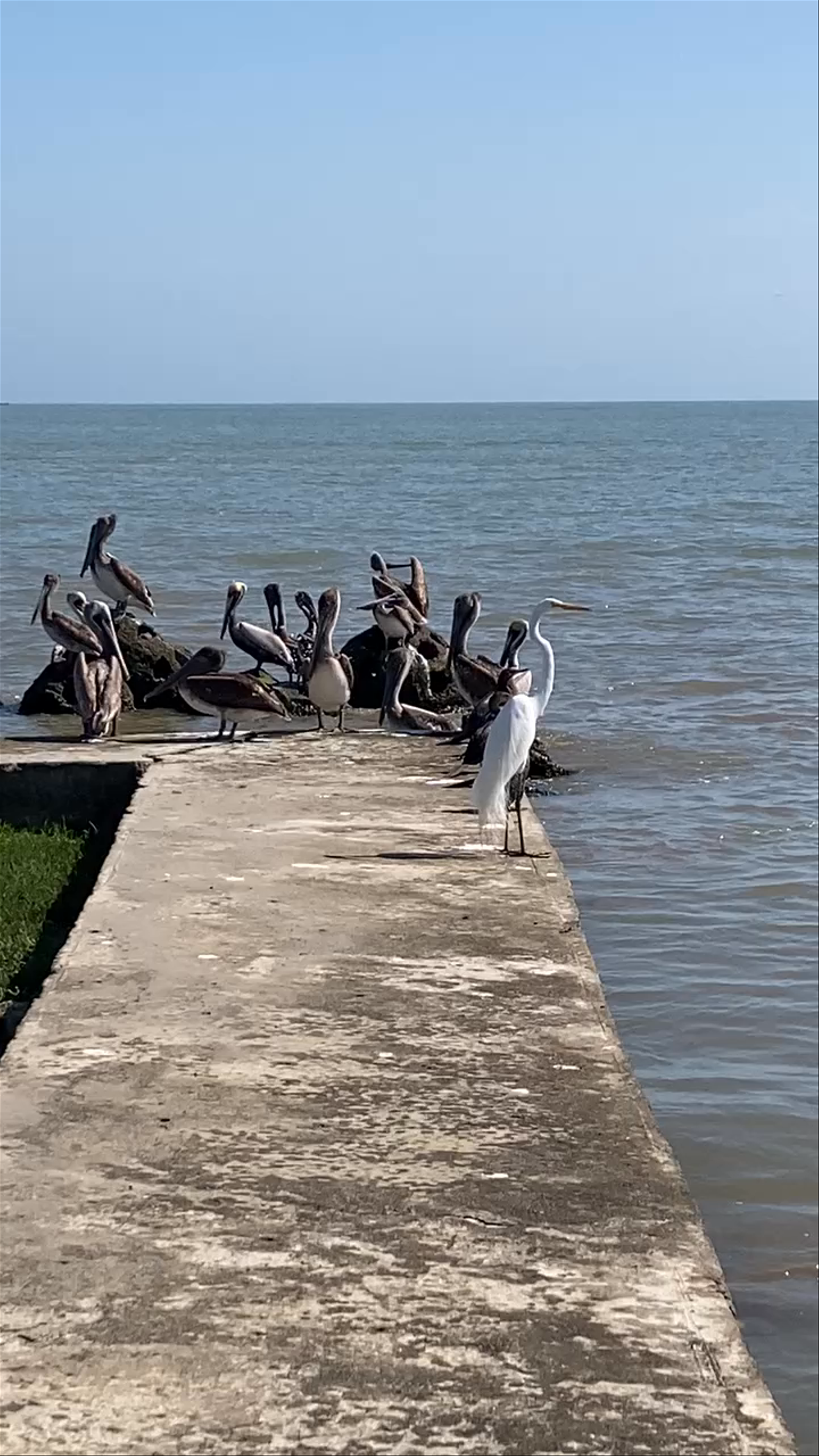 Estatua El Salvador del Mundo