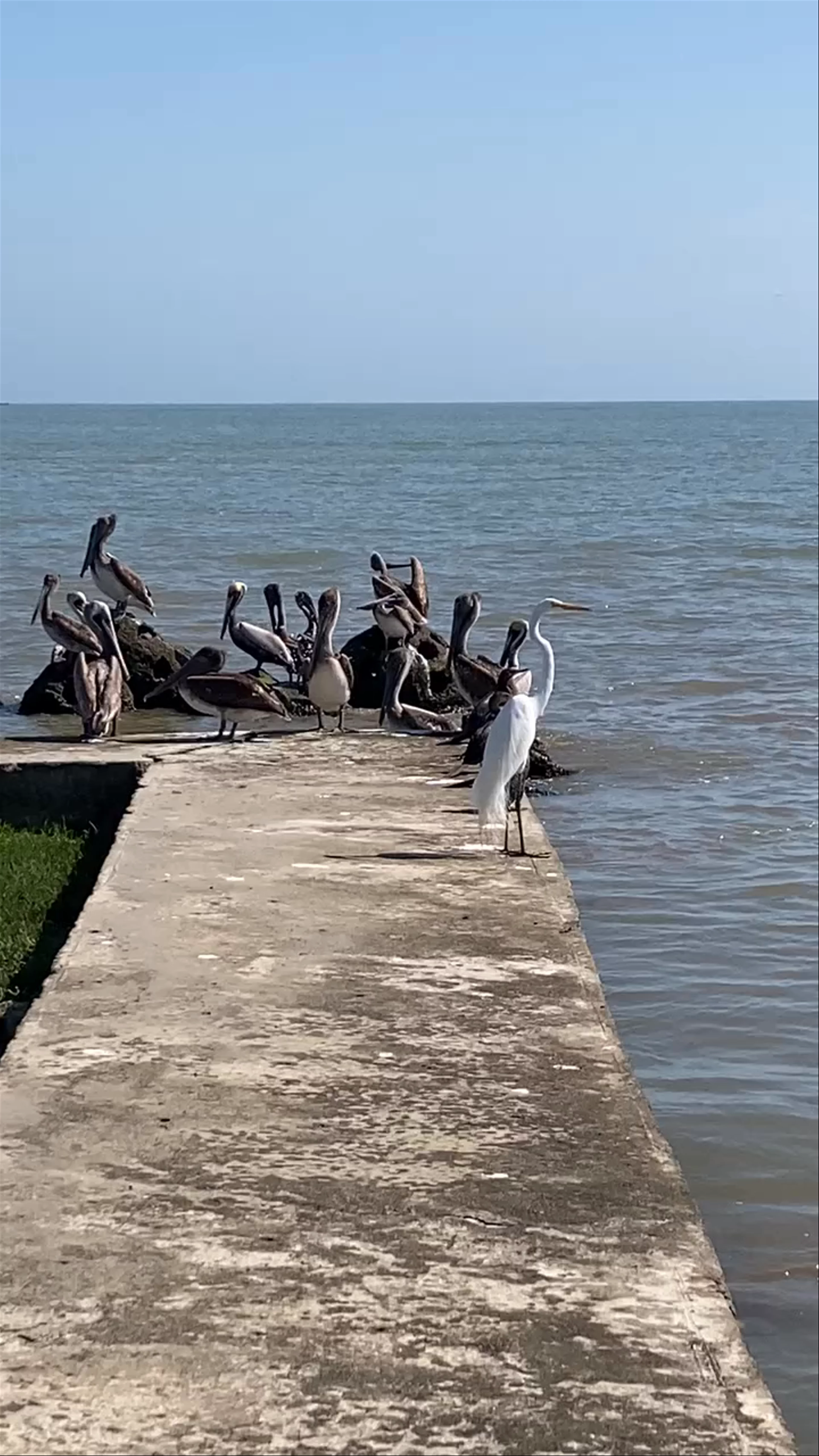 Estatua El Salvador del Mundo
