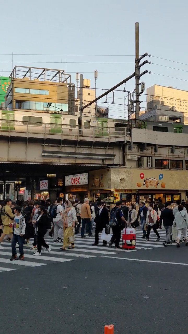 ここ絶対行きたい
🎥 Kassandre Pedro · Pexels
#日本 #旅行 #絶景 #風景 #japan
