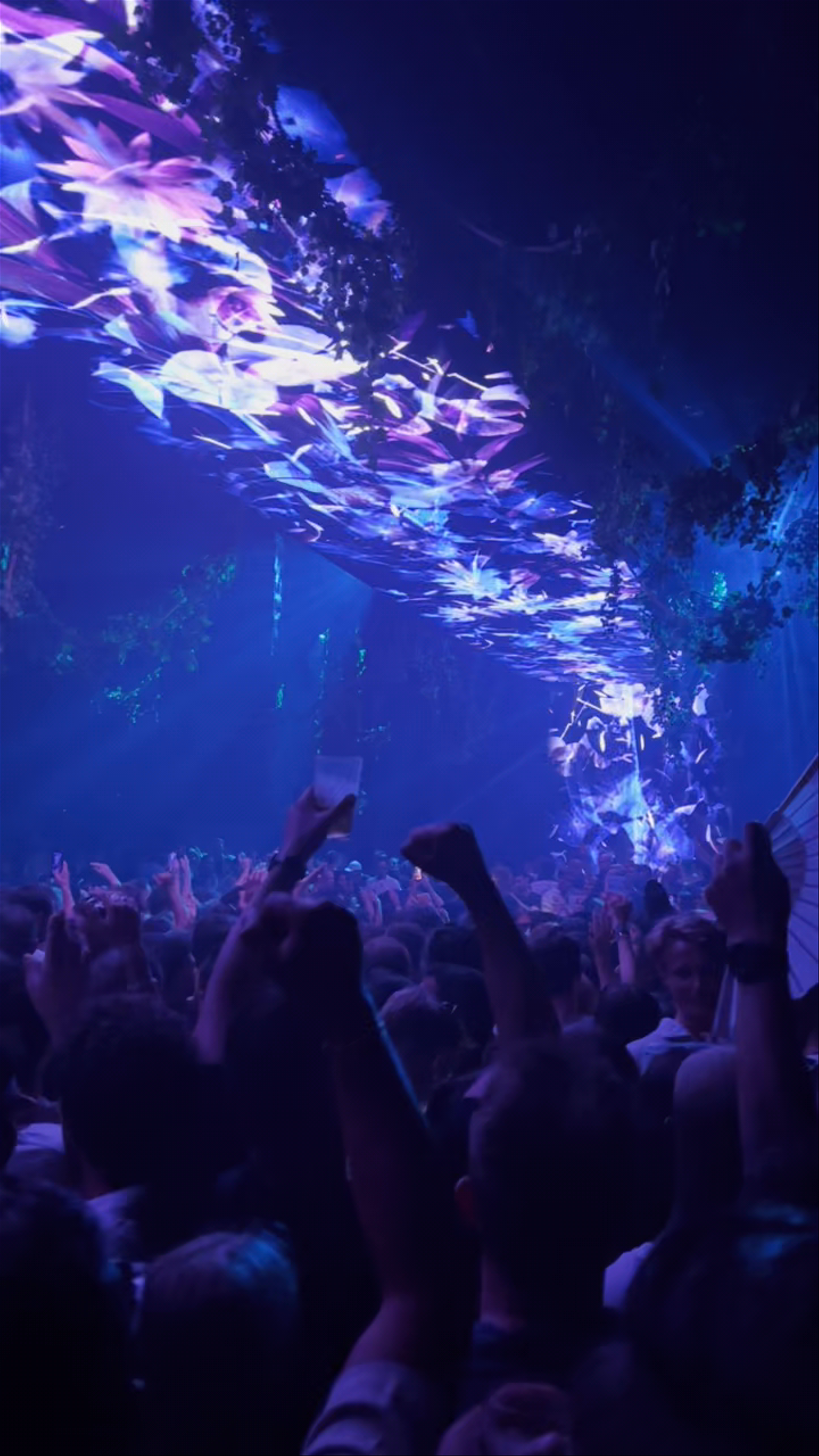Hï Ibiza: Immersive Nightclub Experience in Platja d'en Bossa