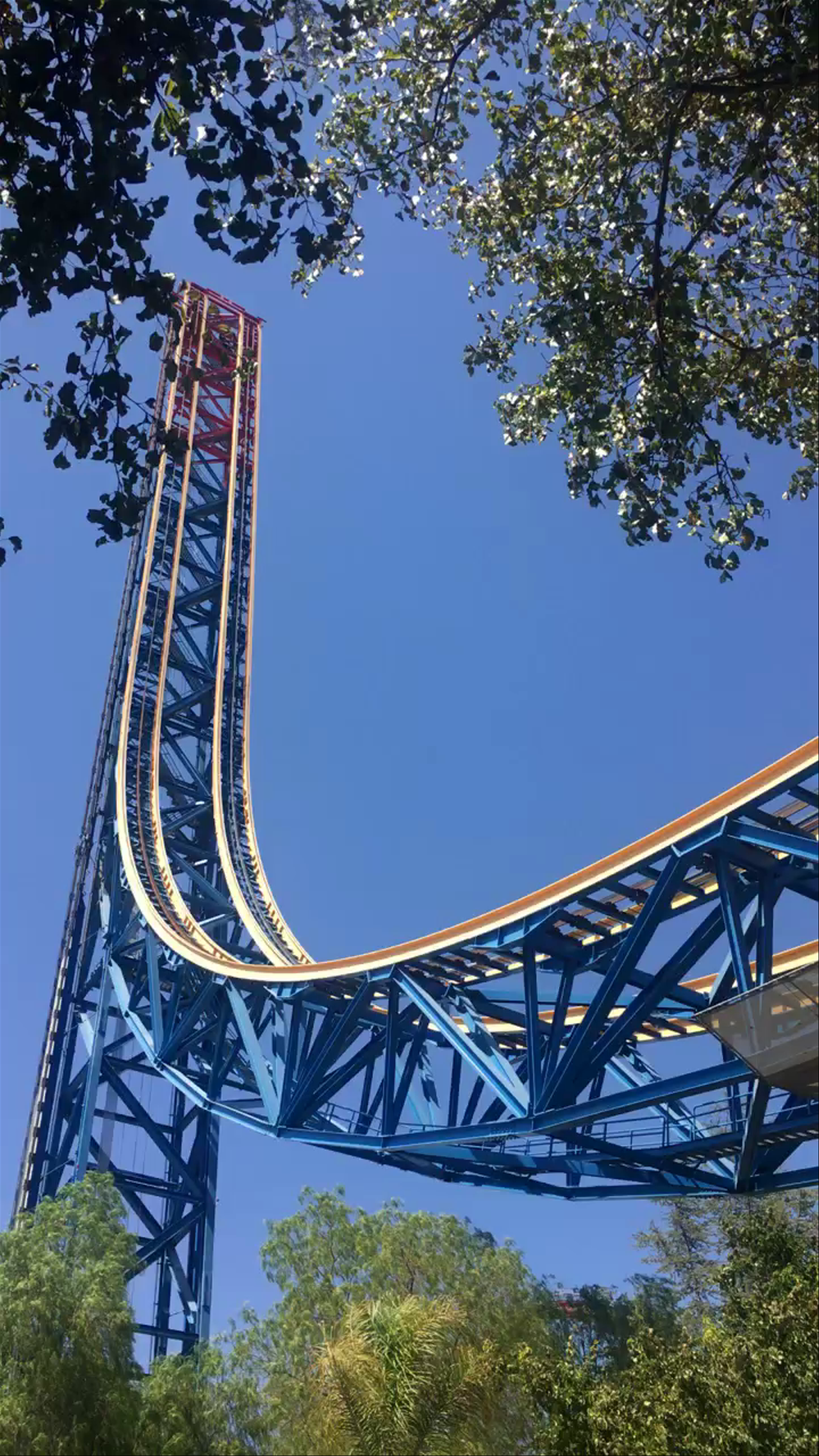 Magic Mountain