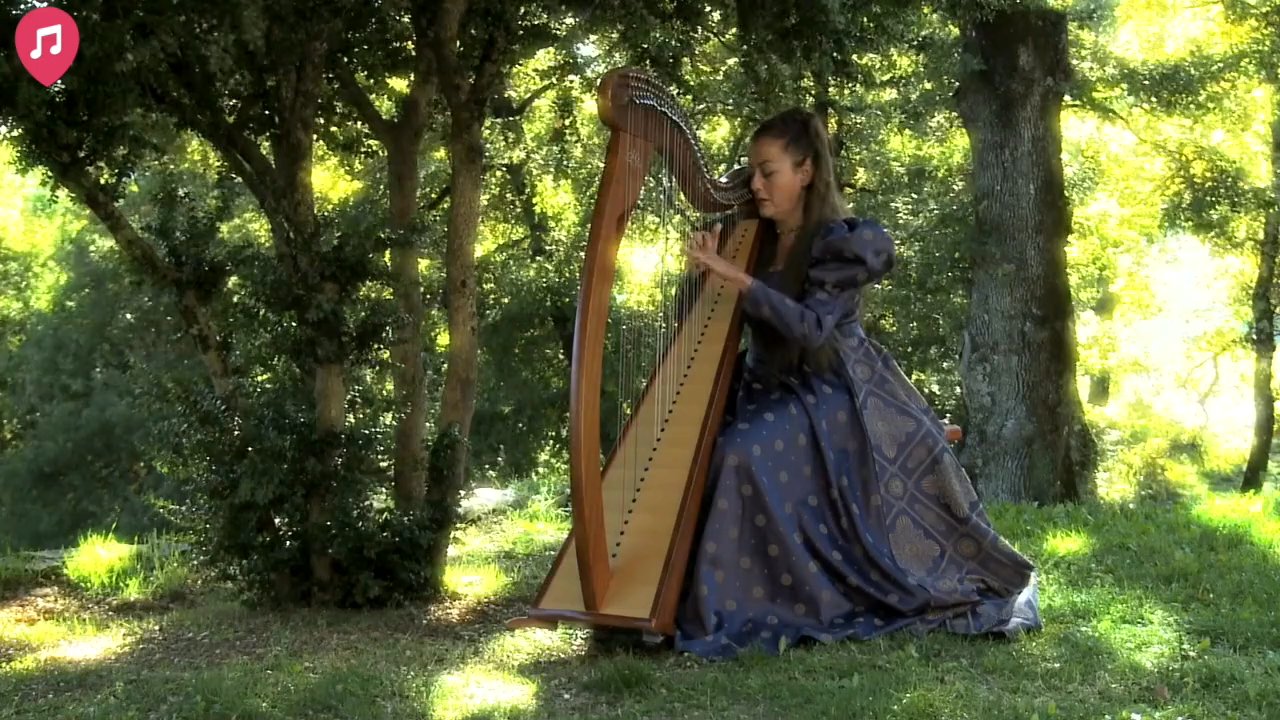 The Siena Harpist & Singer - Live Showreel - video 4