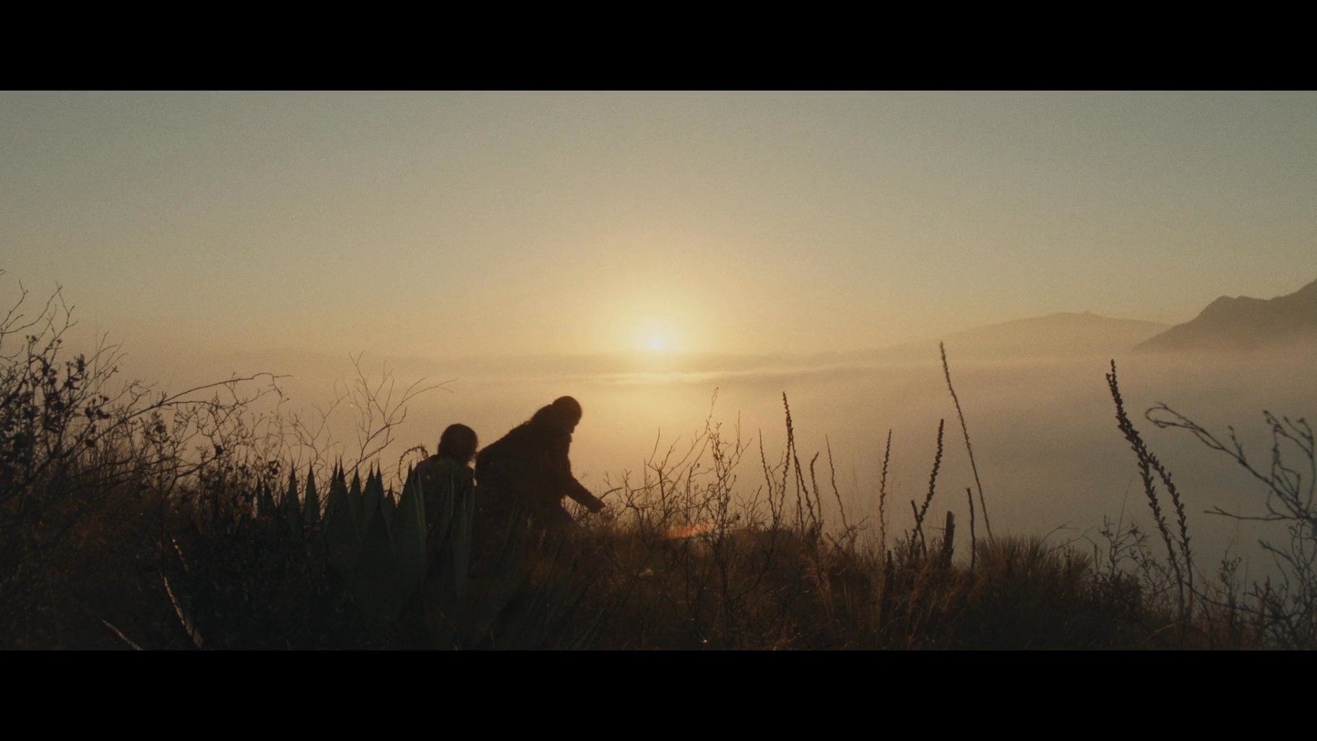 84 Lumber “Journey”