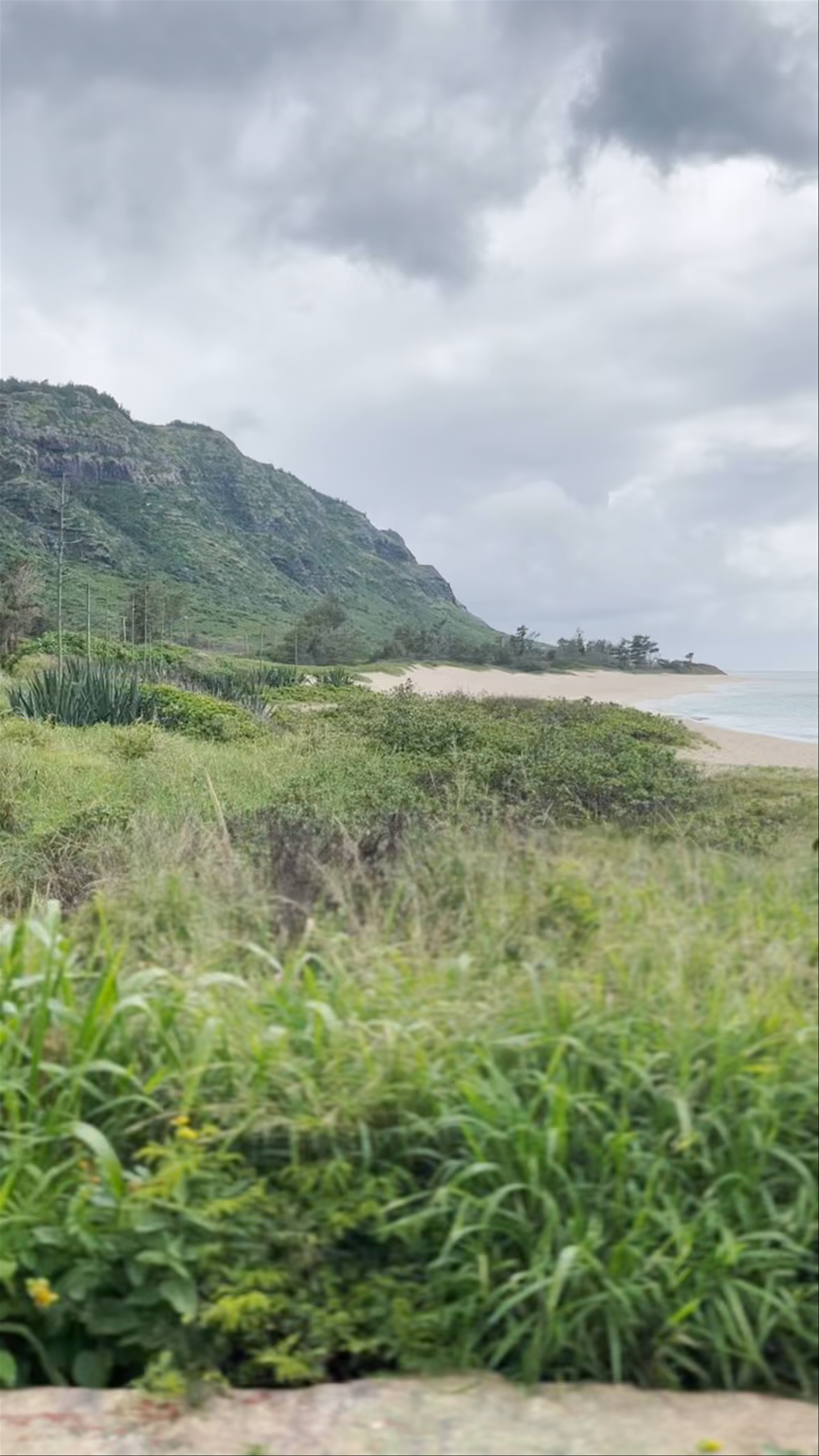 Camp Harold Erdman Beach
