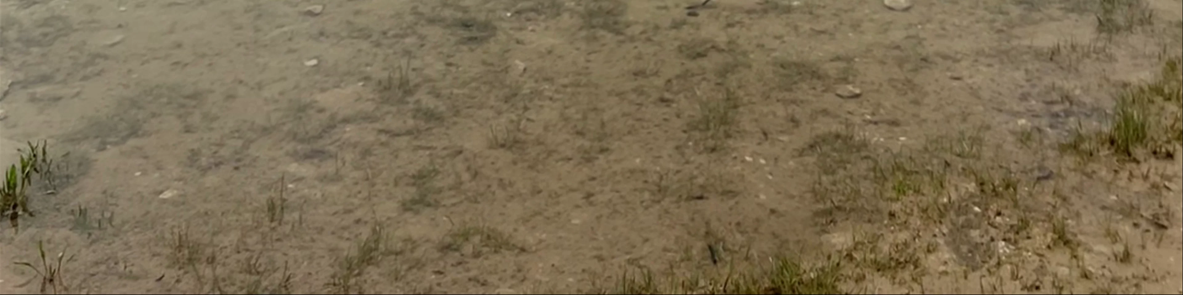 Black Lake