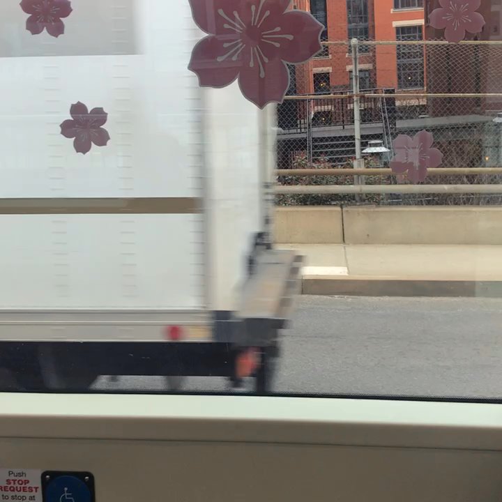 DC Streetcar - Public Transportation Near Me