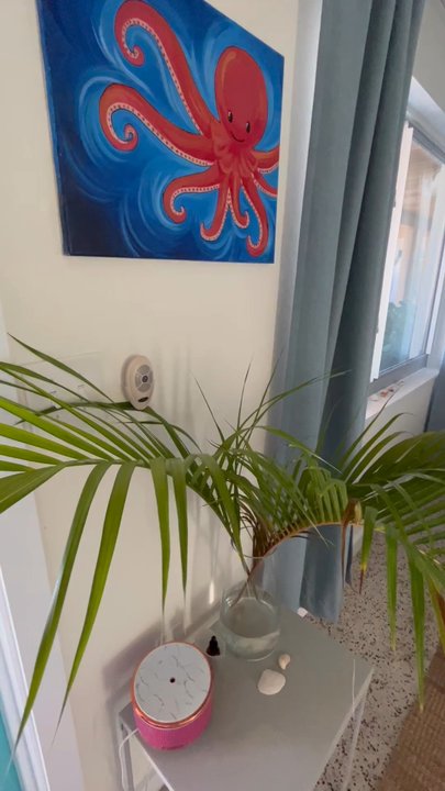 Casa Limonada - Agave studio - Hotels Near Me - Sarasota, Florida