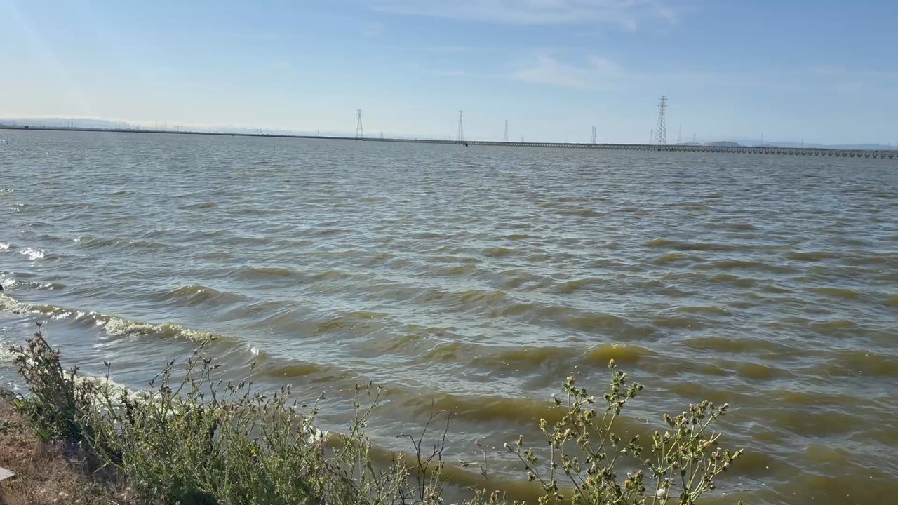 Moffett Bay Trail - Hiking Near Me - Sunnyvale, California
