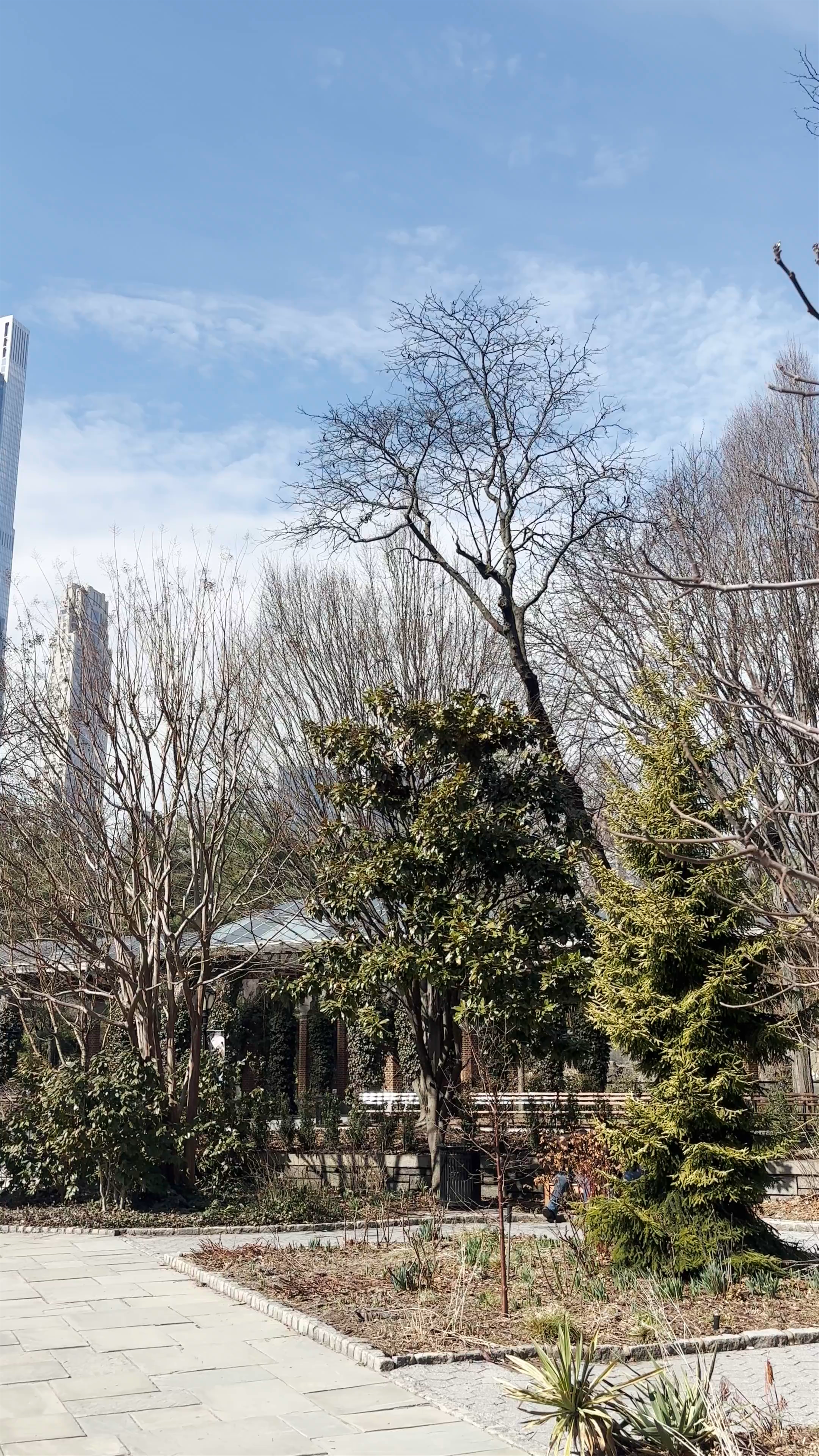 Zoológico de Central Park