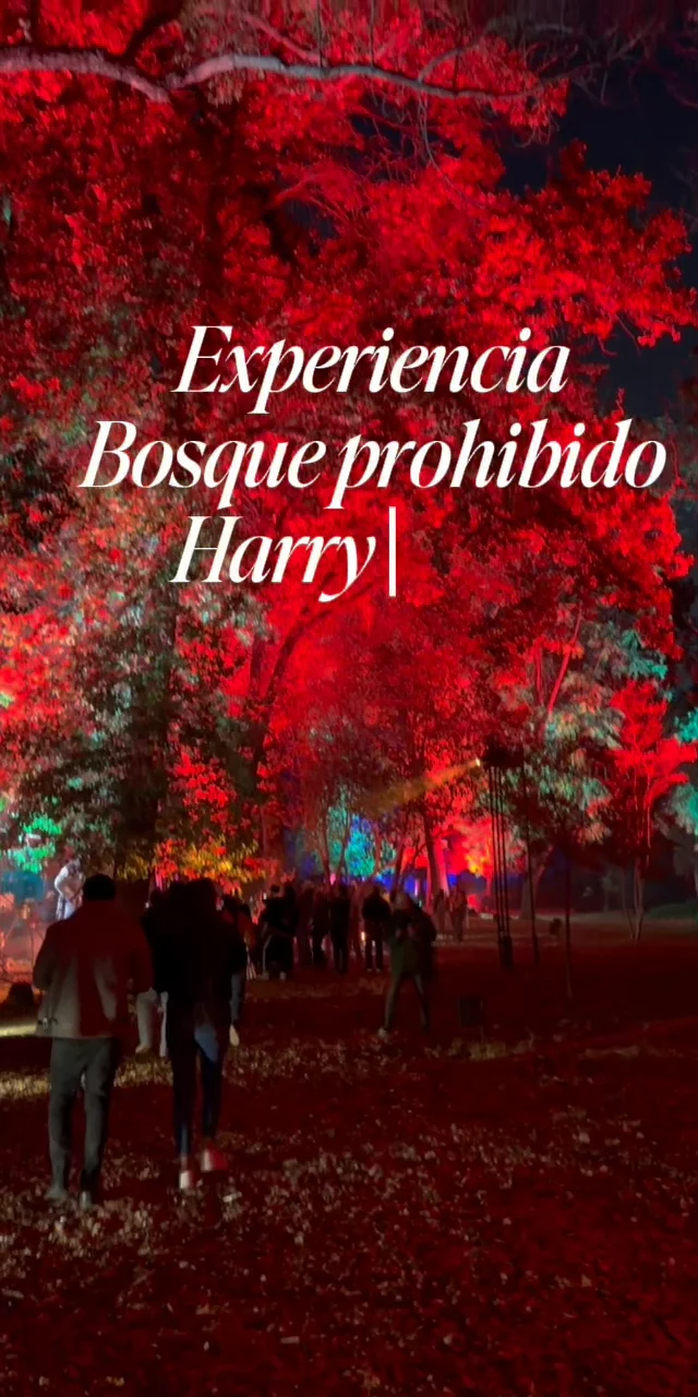 Contenido del creador