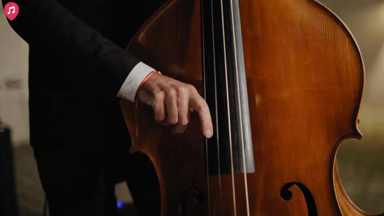 The Fireflies - Aperitif Showreel 2026 - video 3