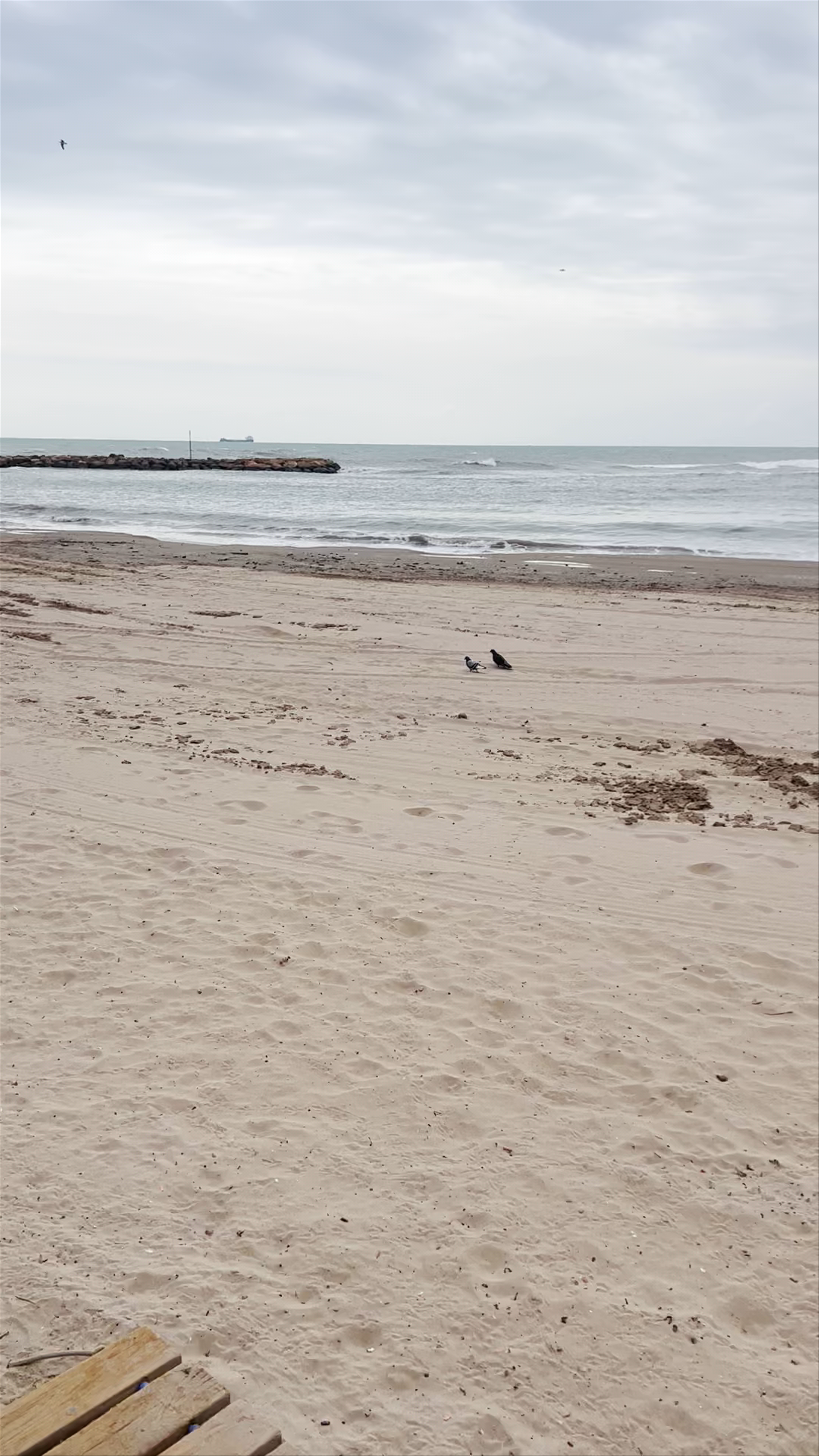 Torrevieja playa del cura