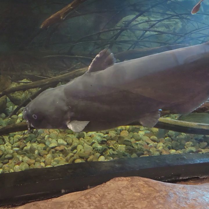 Bass Pro Shops - Sporting Goods Near Me - Pearl, Mississippi