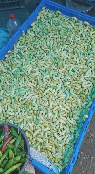 Photo of Some amazing stuff a