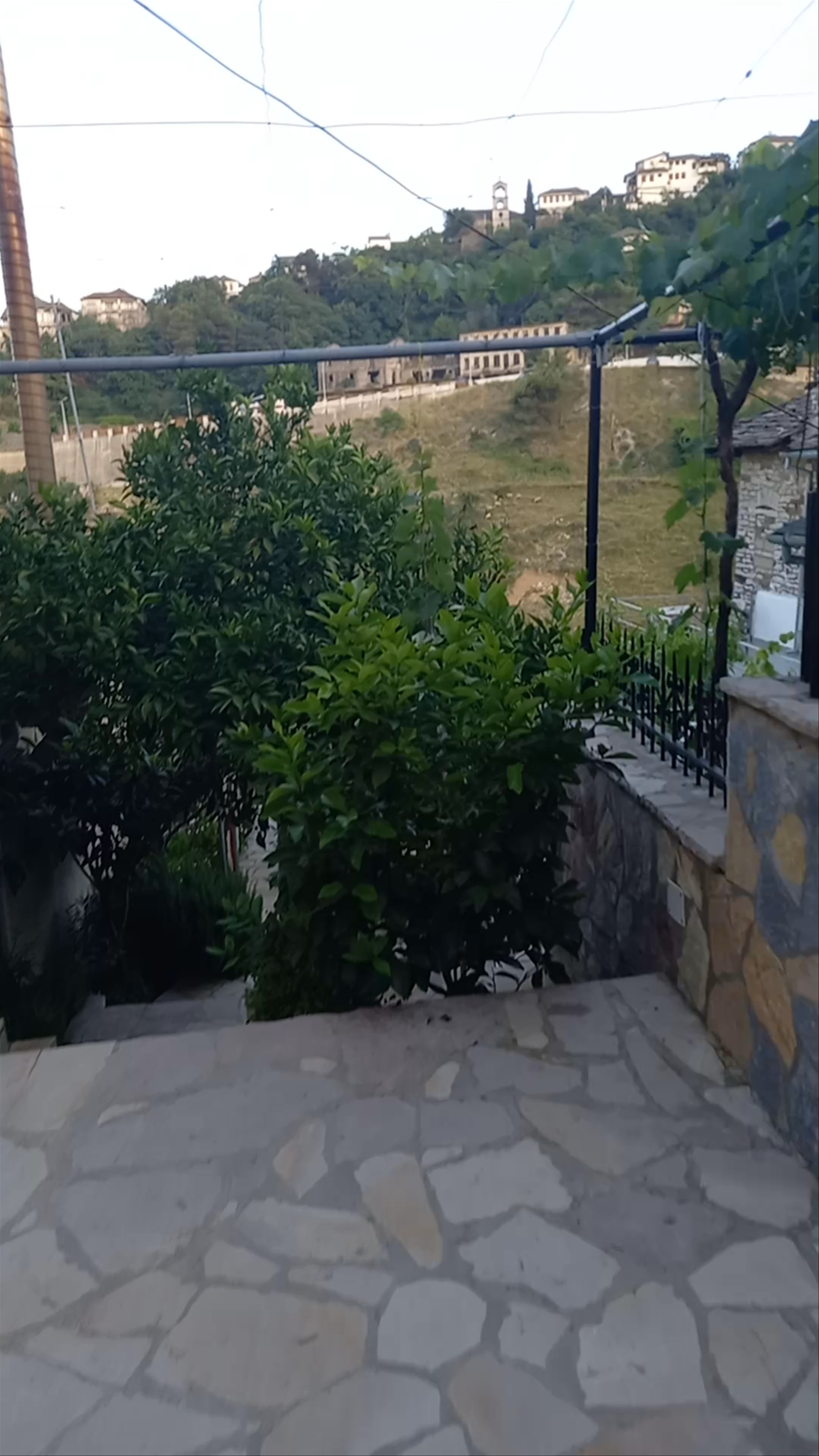 Guest House Garden
