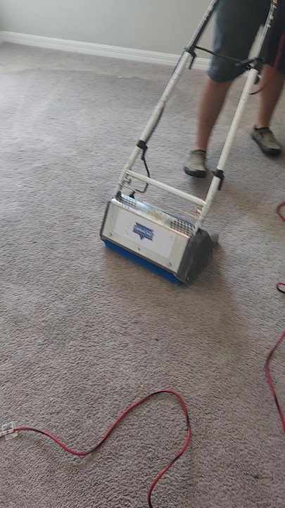 Lanior Carpet Cleaning - Carpet Cleaning Near Me - Brandon, Florida
