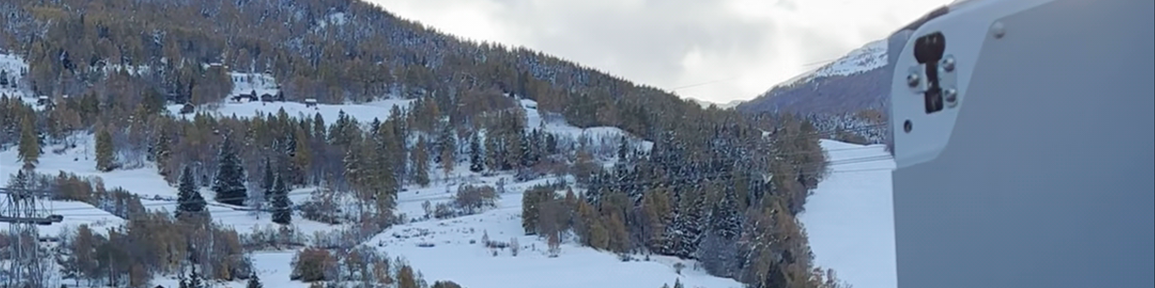 Visp