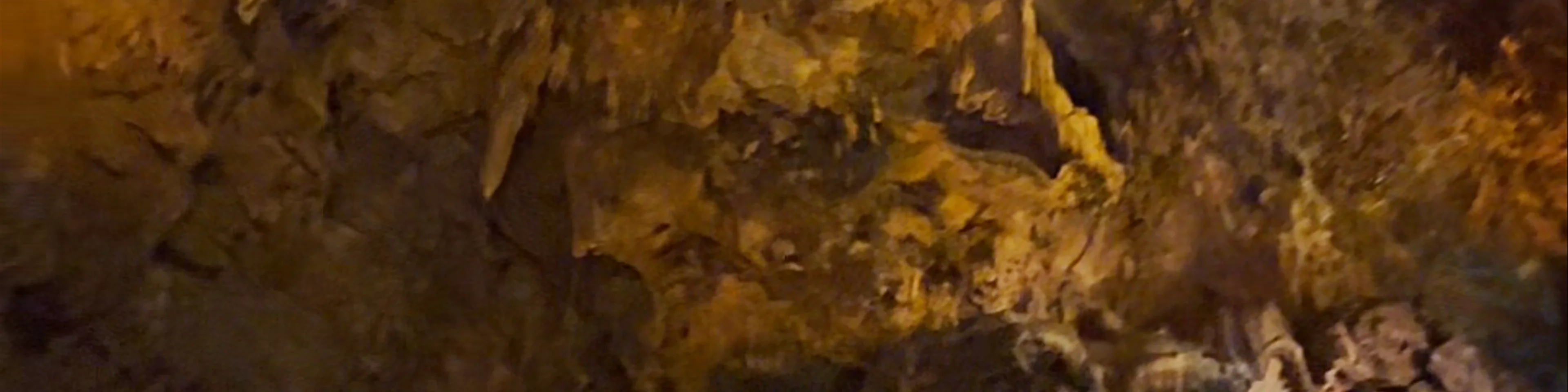 Çarşı