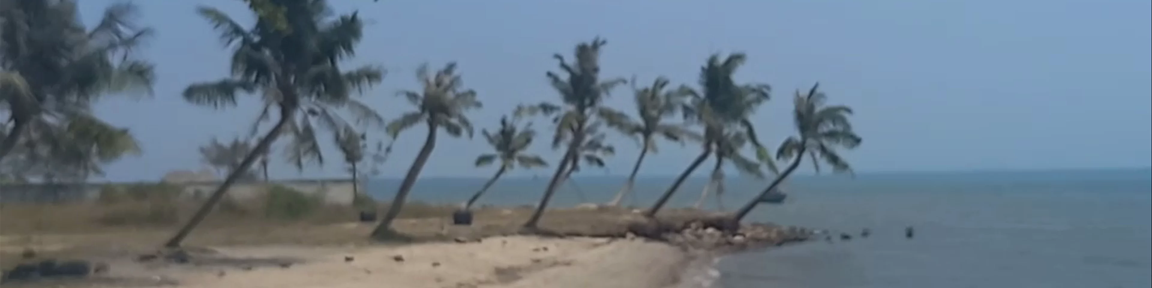 Coconut Beach