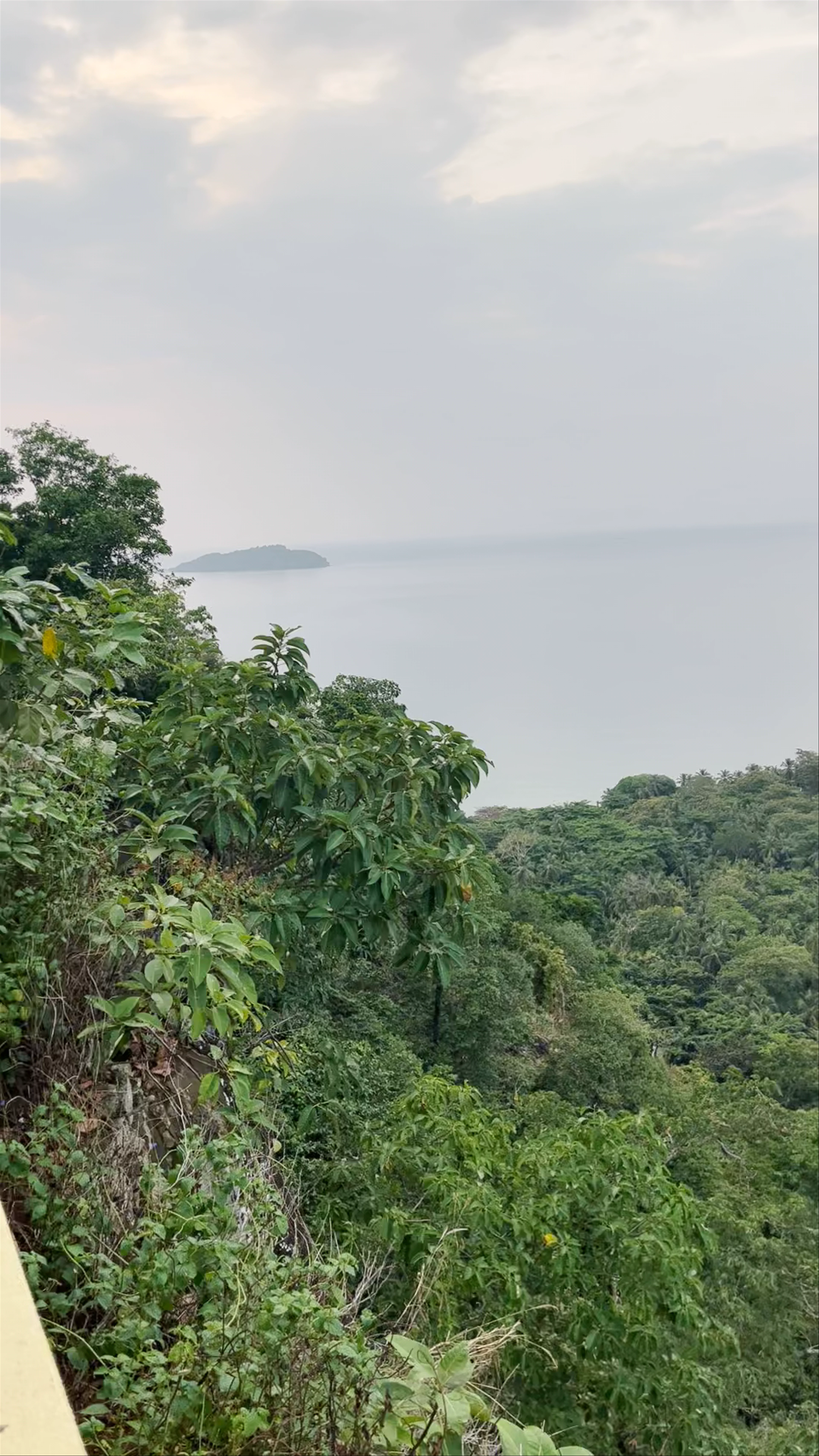 Miradouro Praia Banana