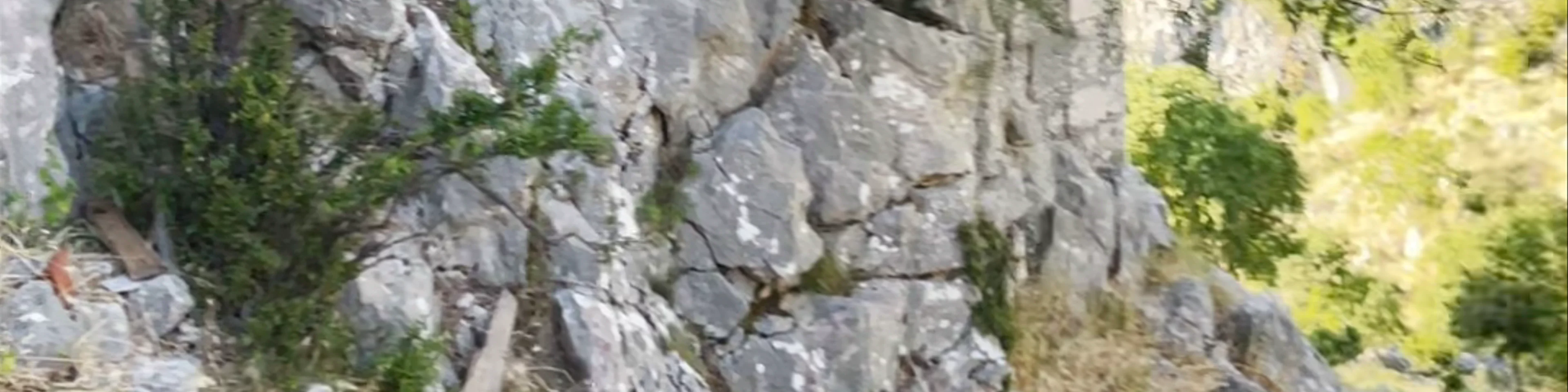 Kotor Fortress