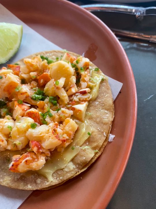 June - Lobster tostadas - Mexican Near Me - Orlando, Florida