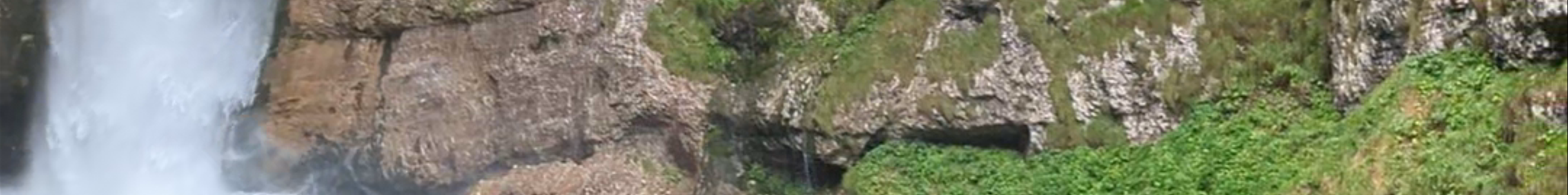 Tours & experiences in Gorenjska