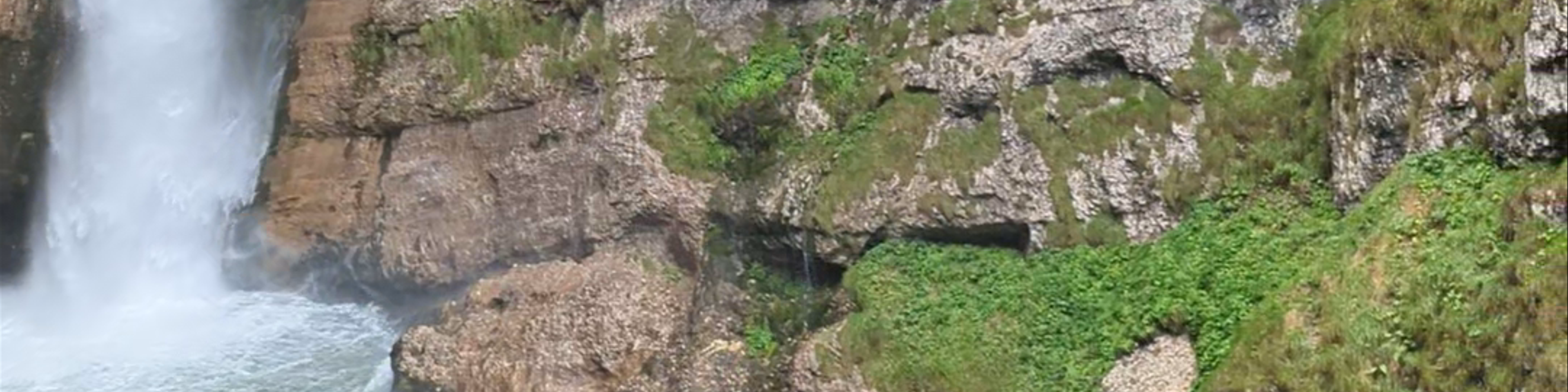 Gorenjska