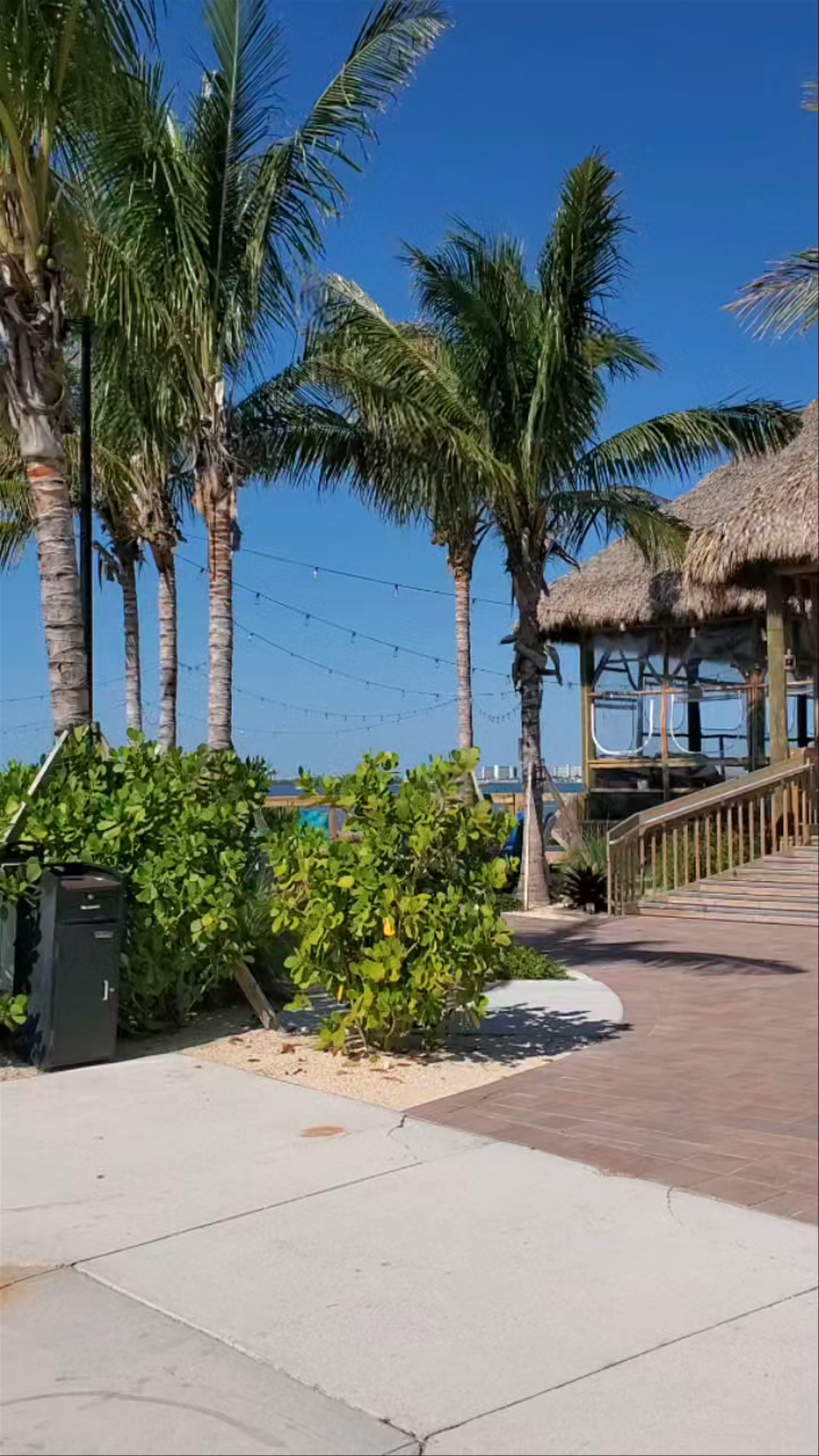 Conchy Joe's Seafood