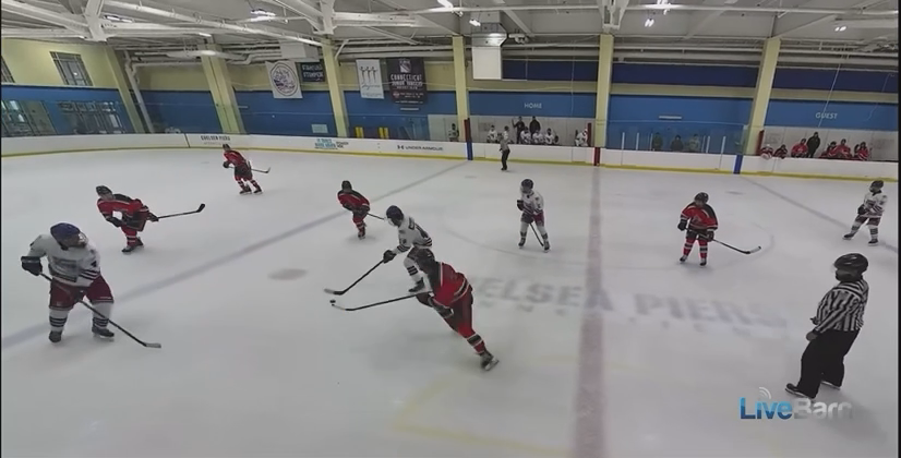 Dimico Manzolillo's Top Goals & Stickhandling Highlights | North Park 16U AA