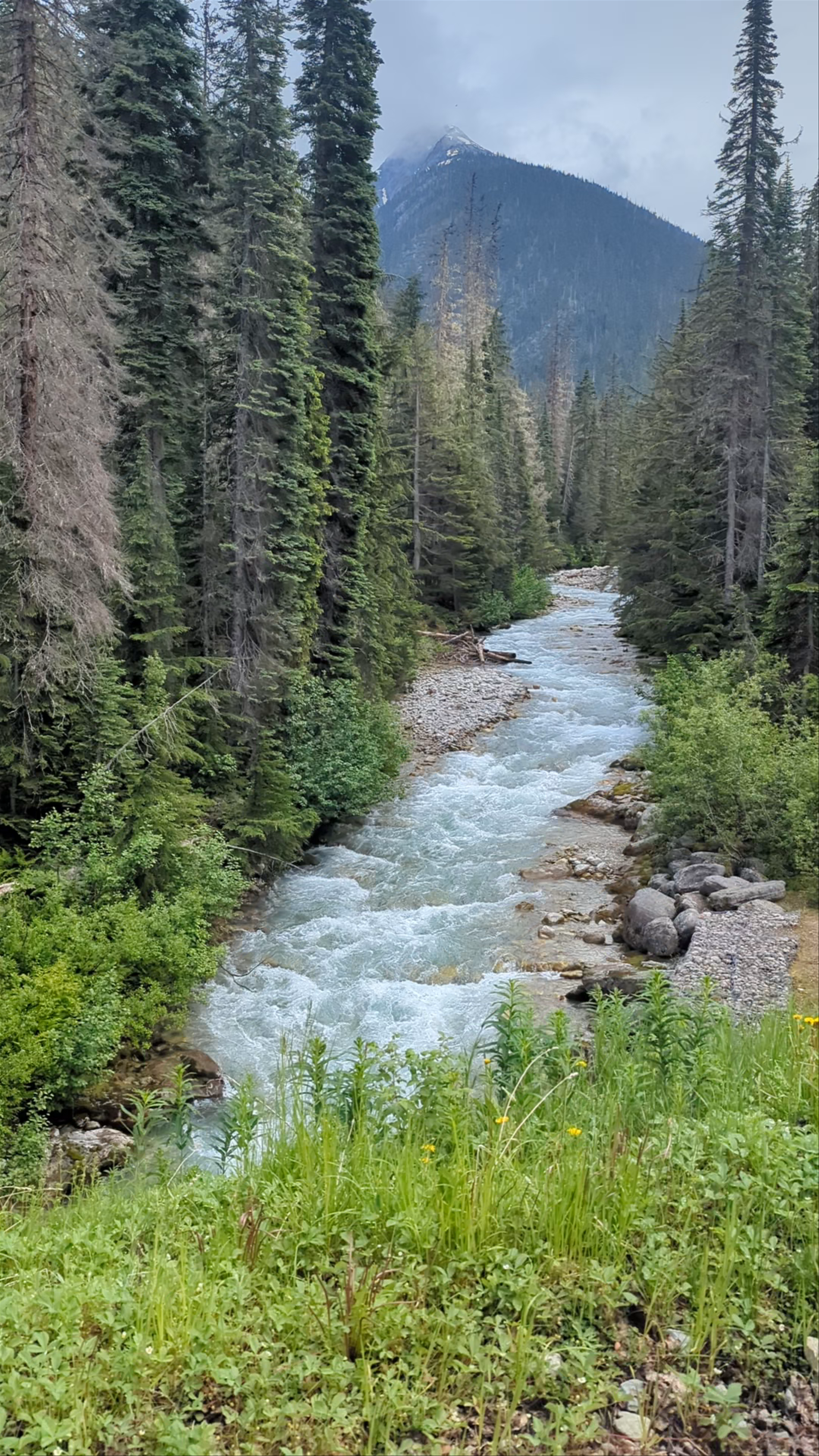 Loop Brook Trail Head