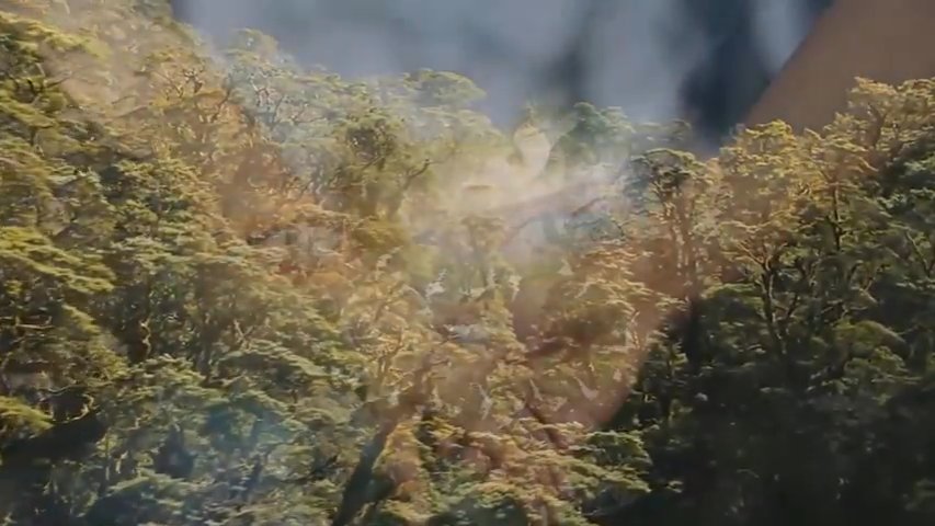 The Serpent's Seed | Viddler