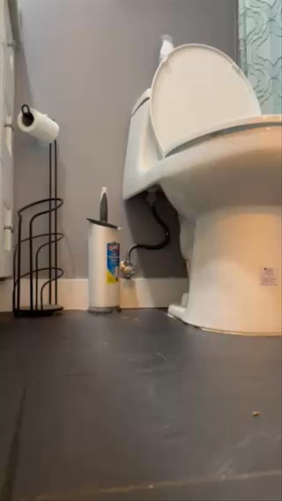 Genuine Plumbing & Rooter - Sewer smoke test the bottom of the toilet smoking due to a worn wax seal, not leaking water but allowing sewer gases out. - Plumbing Near Me - Oxnard, California