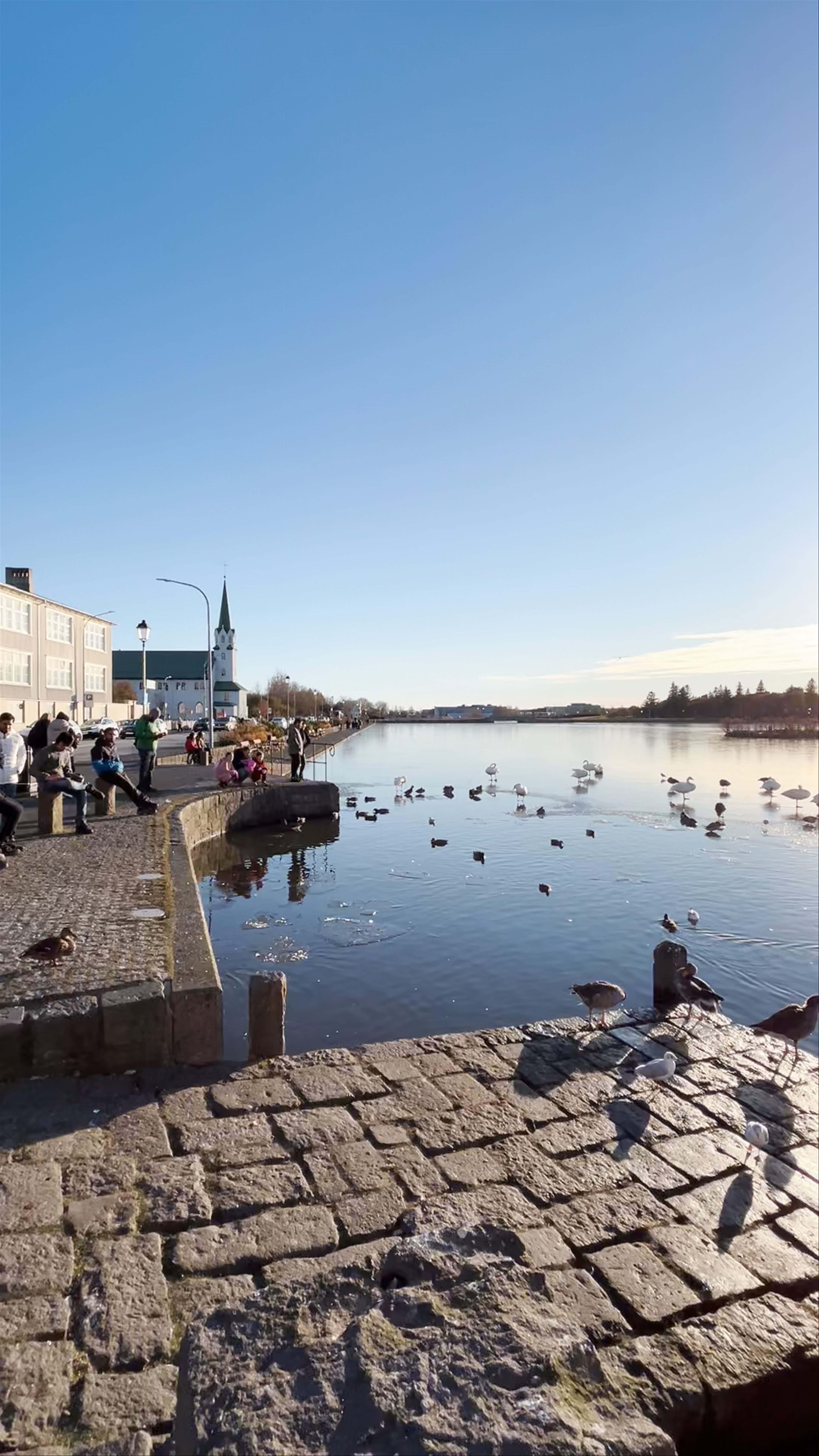 Tjörnin Lake Serenity in Reykjavík, Iceland