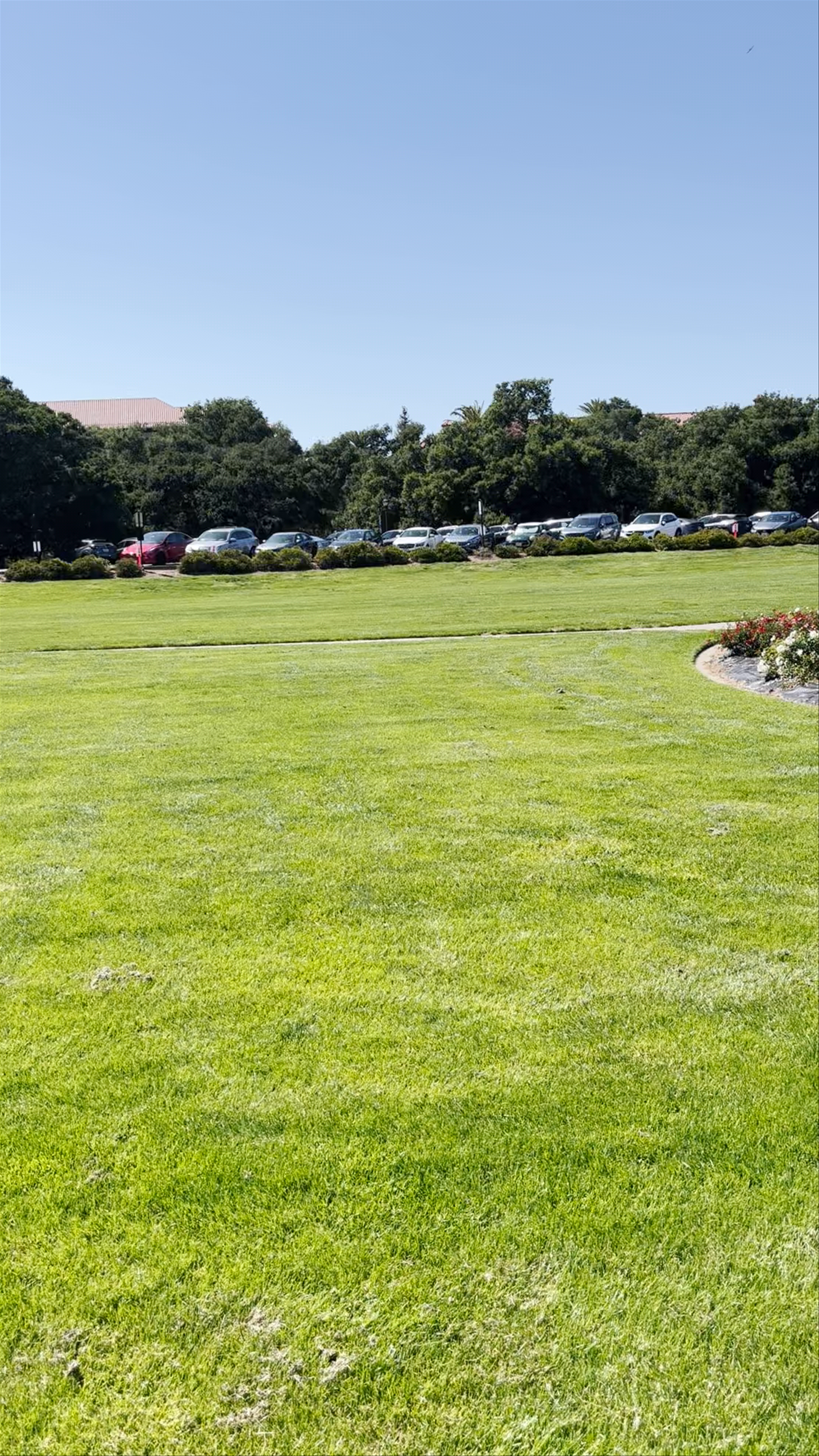 Stanford Oval