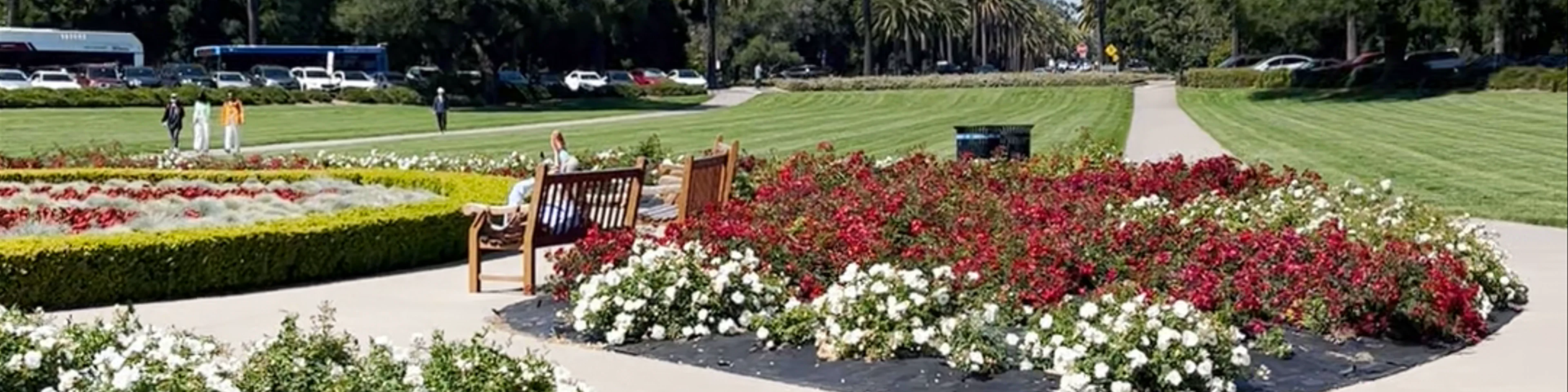 Stanford Oval