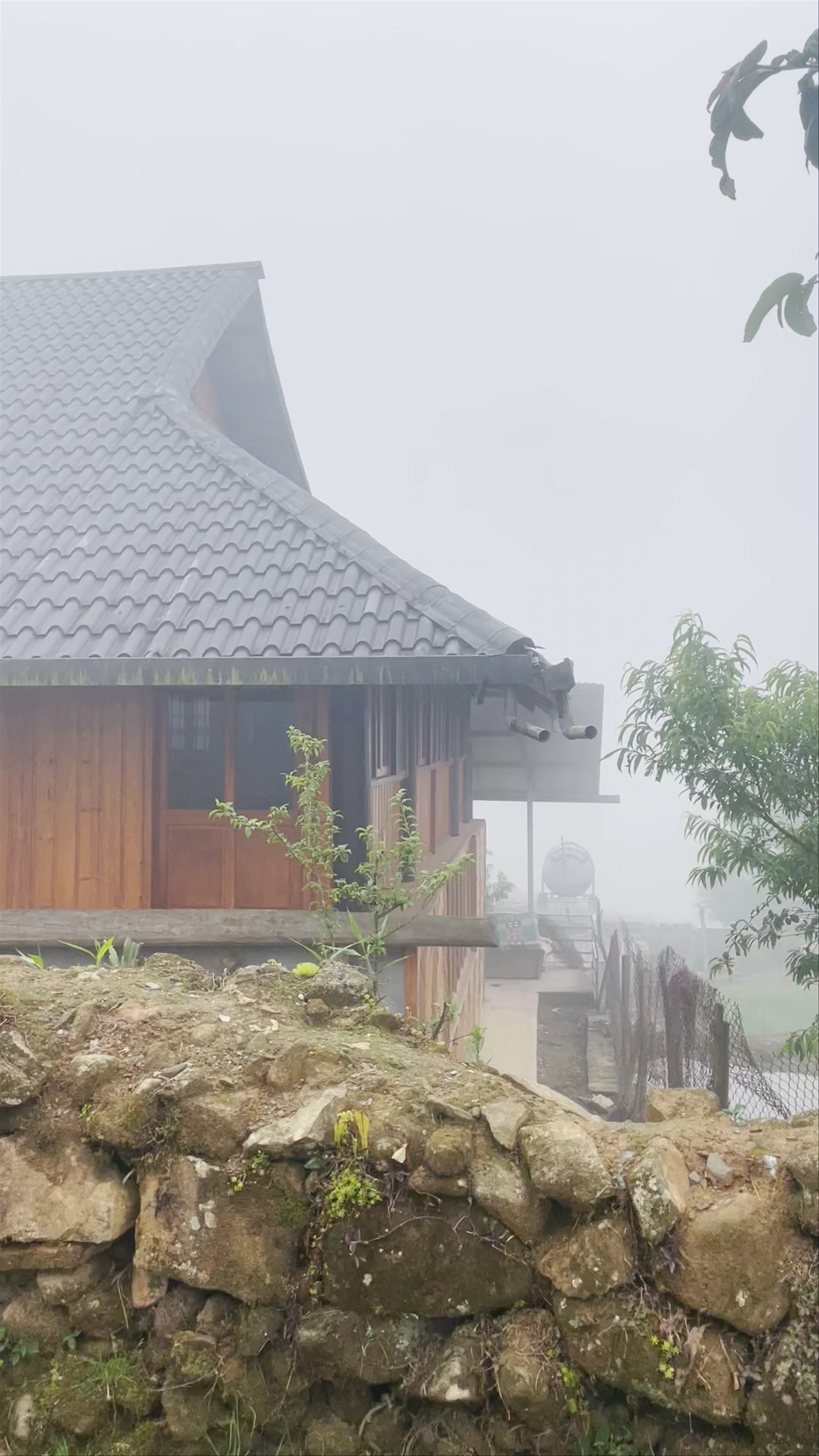 Sacred forest, Sa Pa
