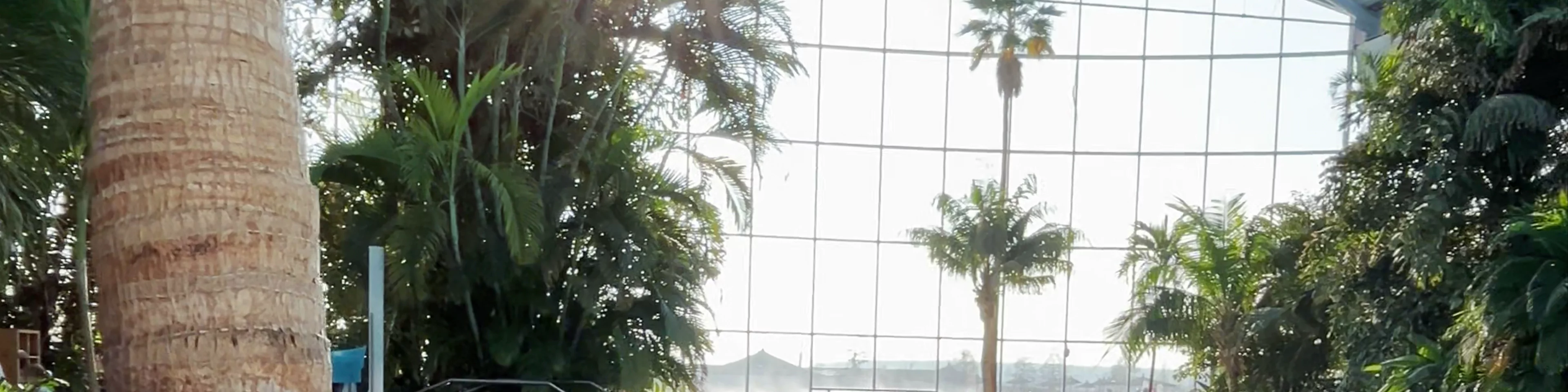Therme Bucuresti