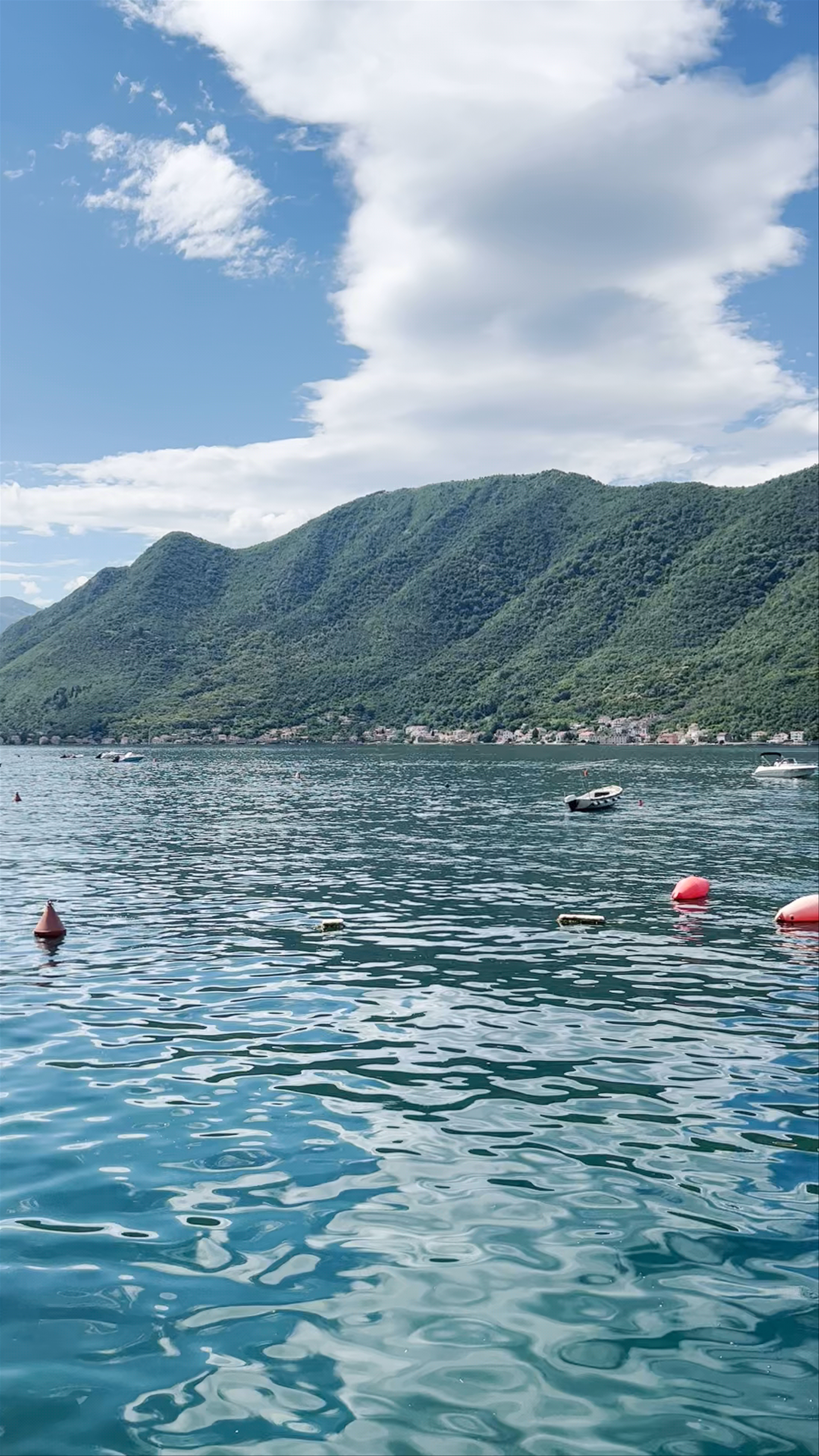 Fish restaurant Djardin