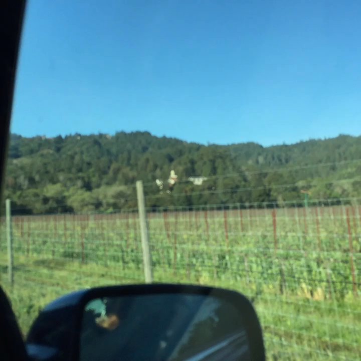 Carmelite Monastery - Local Flavor Near Me - St. Helena, California