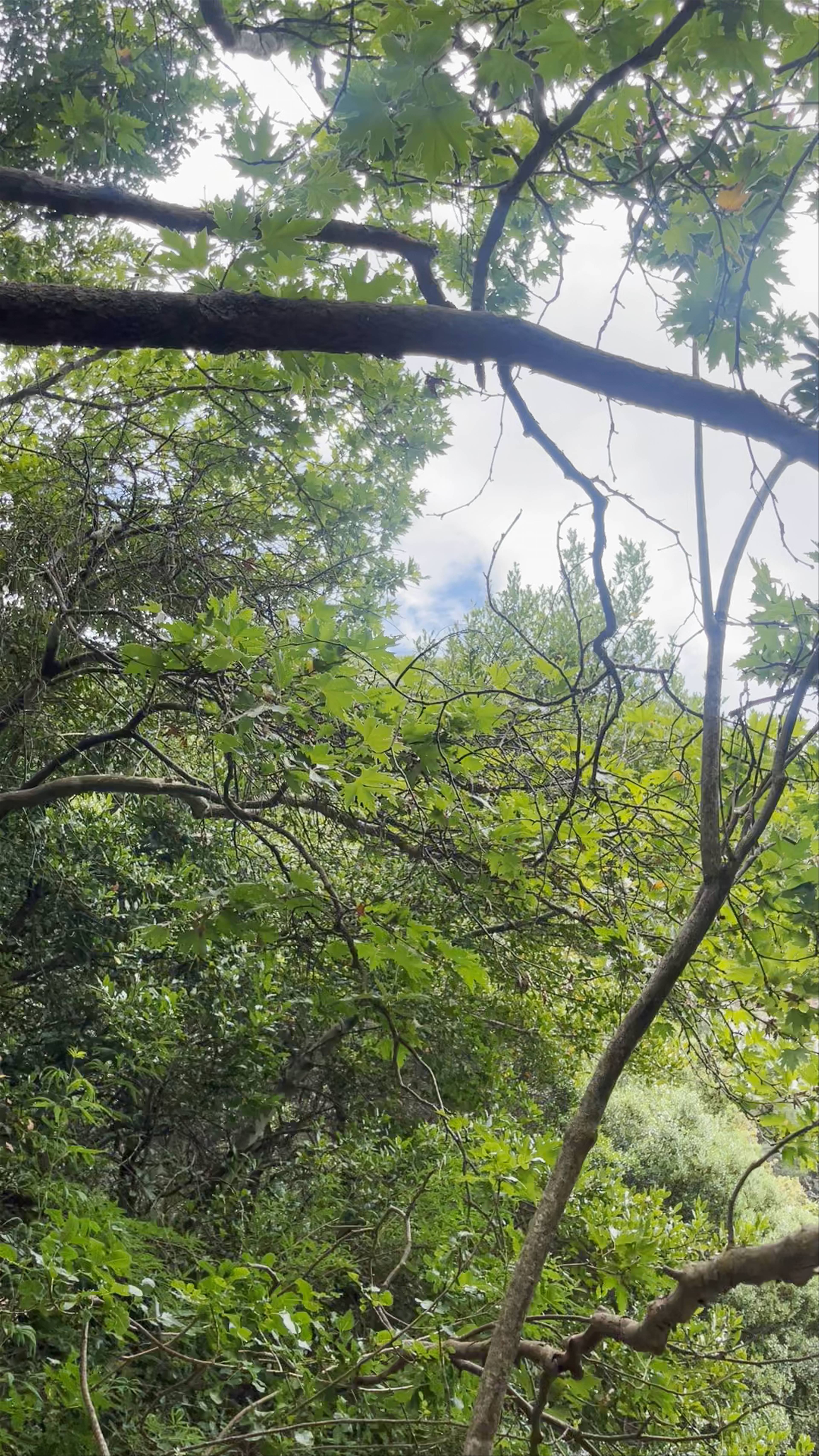 Polylimnio Waterfalls