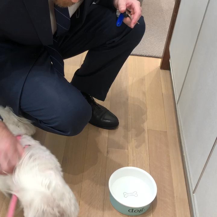 Tiffany & Co - Kindness to Fendi - Jewelry Near Me - Los Angeles, California