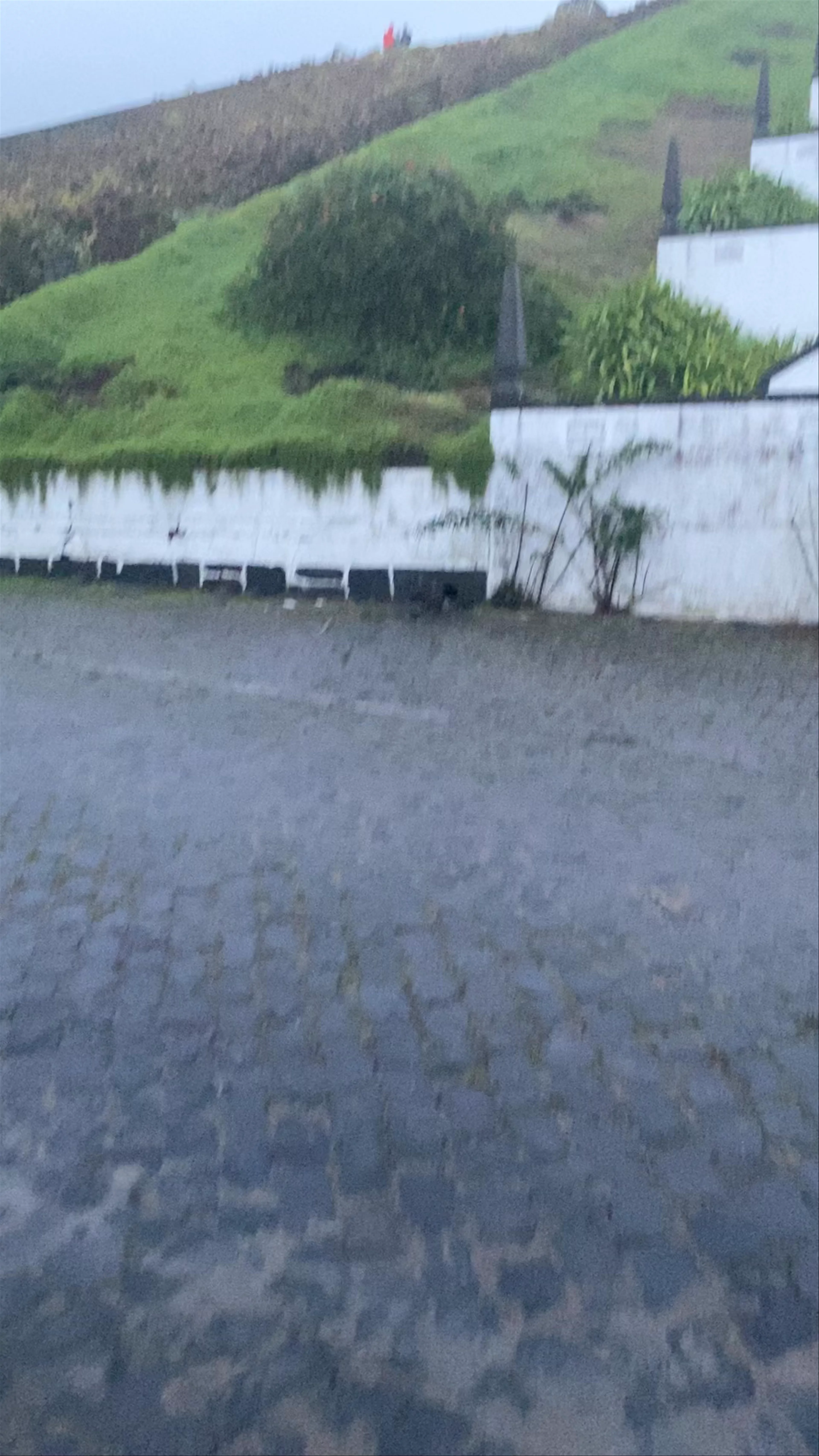 Vila Franca do Campo