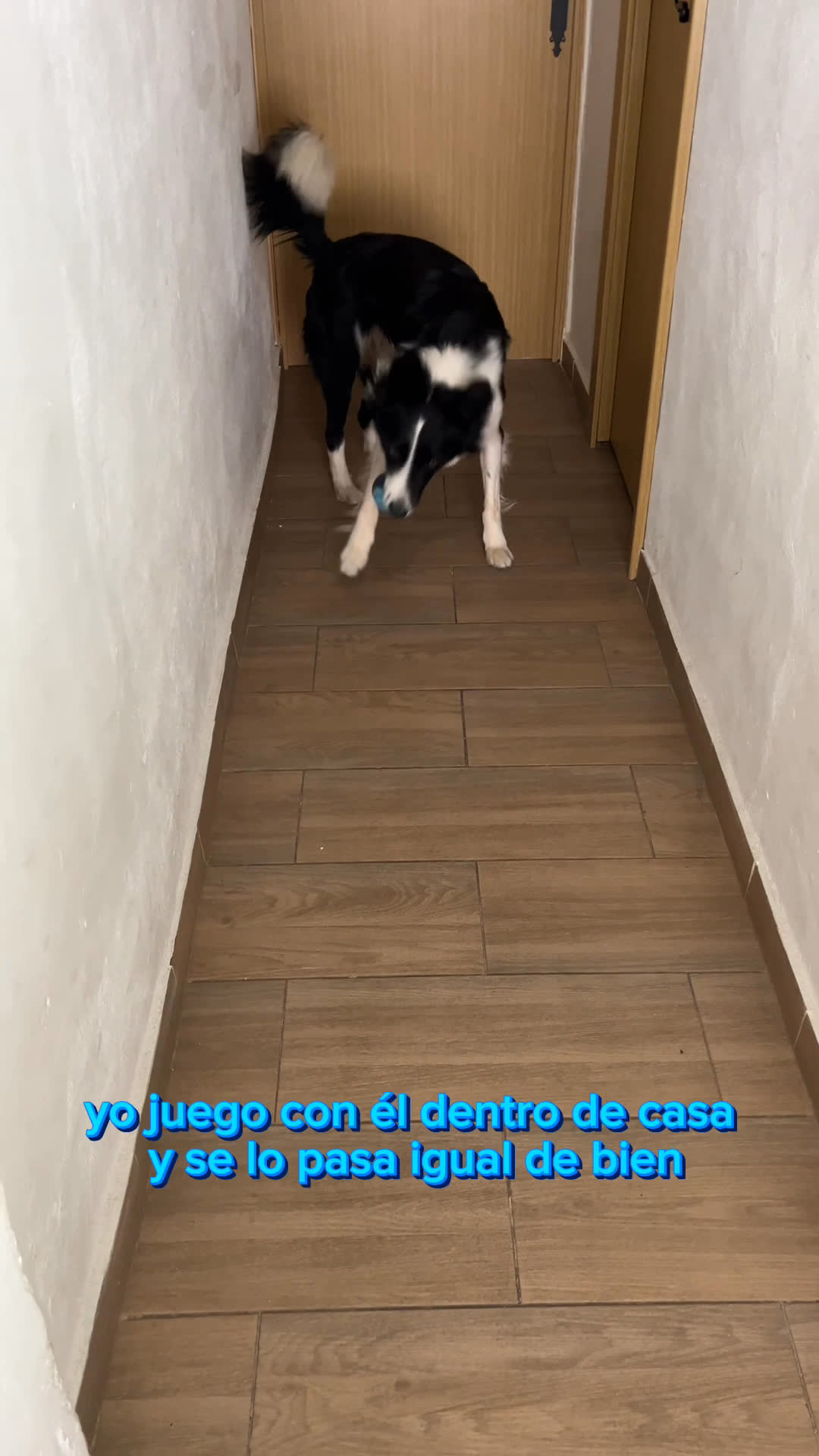 Vídeo UGC 7 de Maria