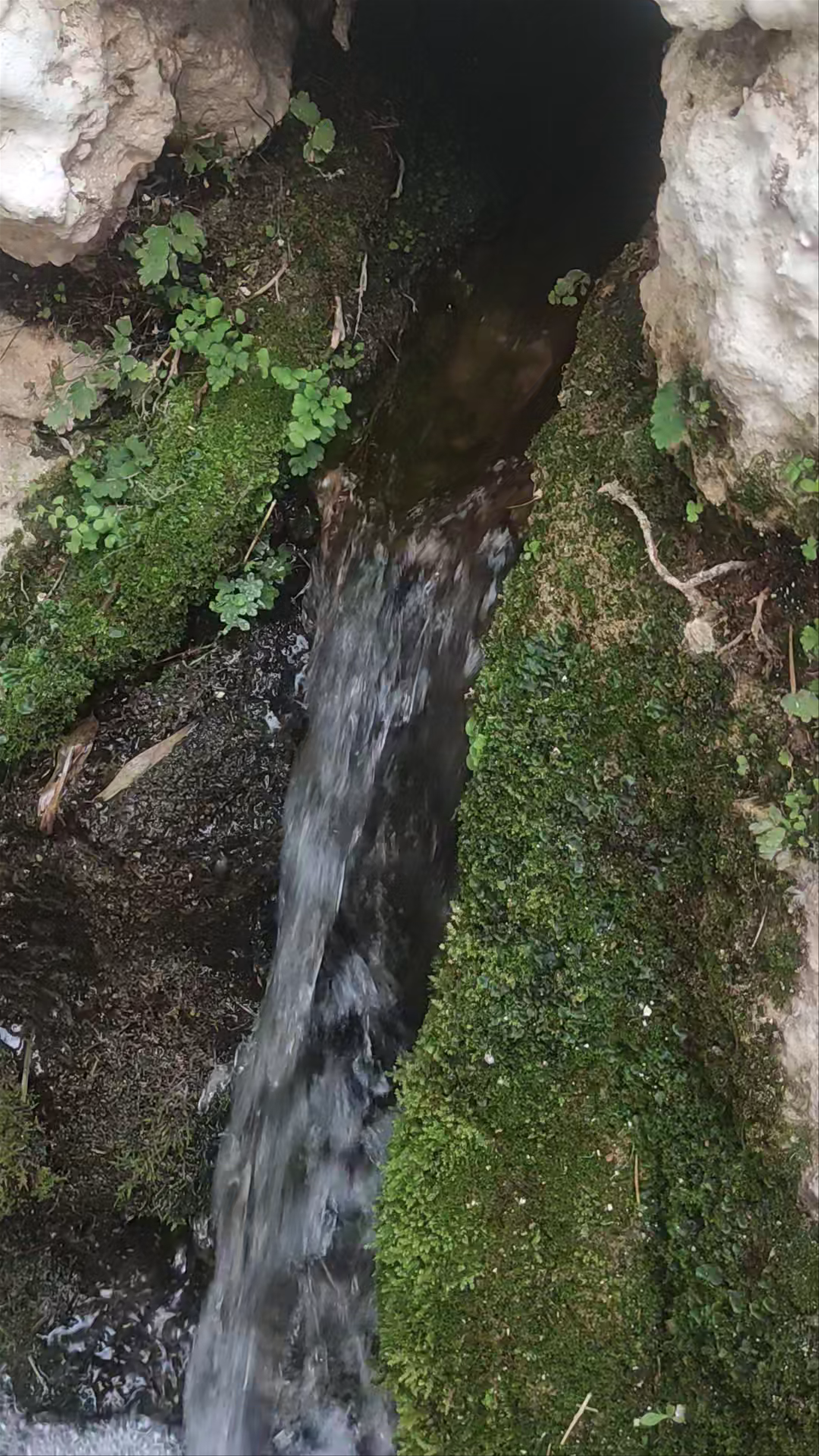 El Ramblón de Lietor: A Serene Water Channel in Historic Castile-La Mancha