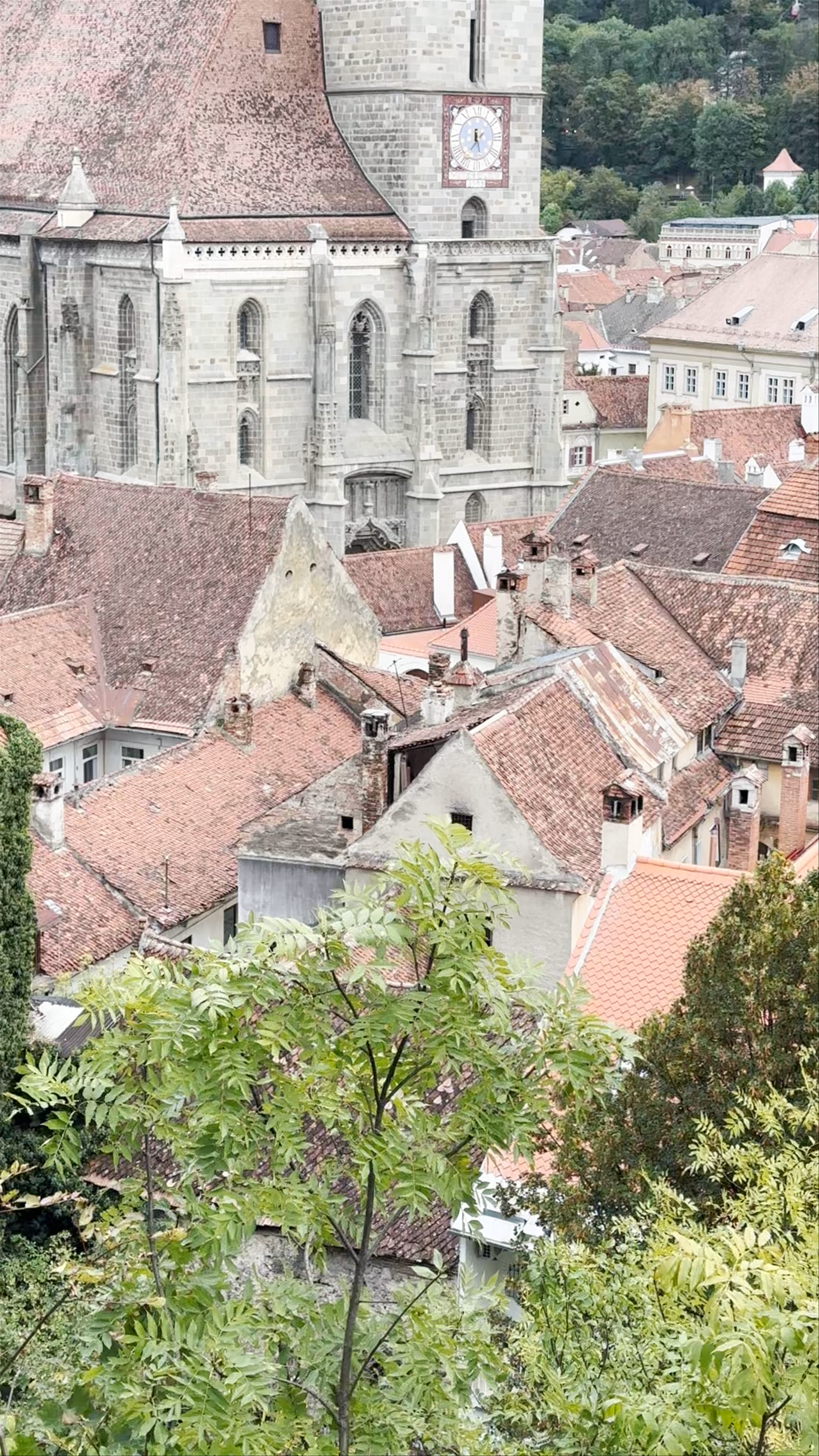 Panoramic View of Brașov's Historic Rooftops and Black Church