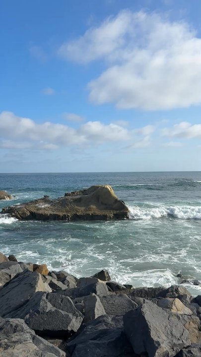 Dana Point Harbor - Gorgeous ocean views! - Marinas Near Me - Dana Point, California
