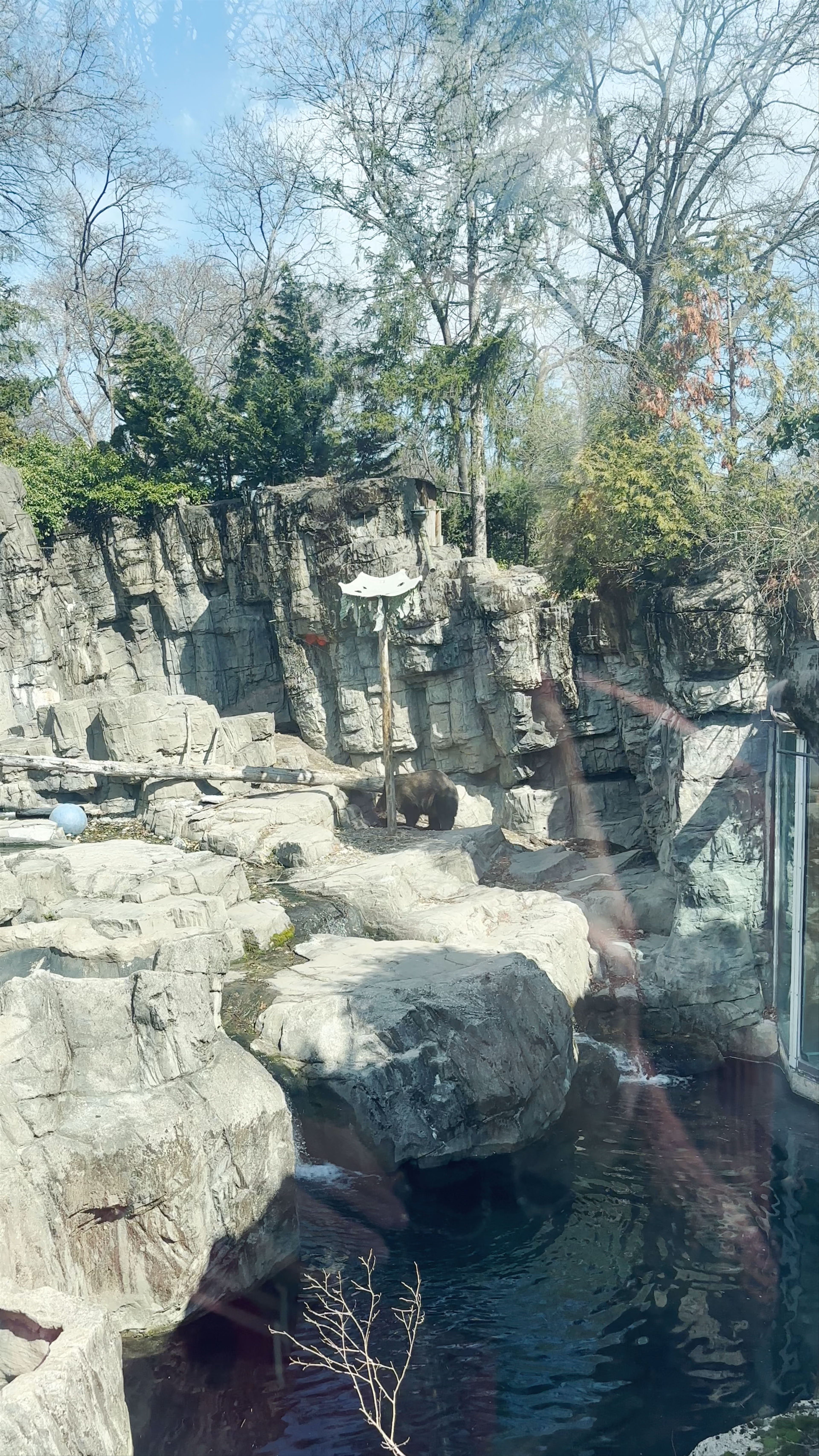 Zoológico de Central Park